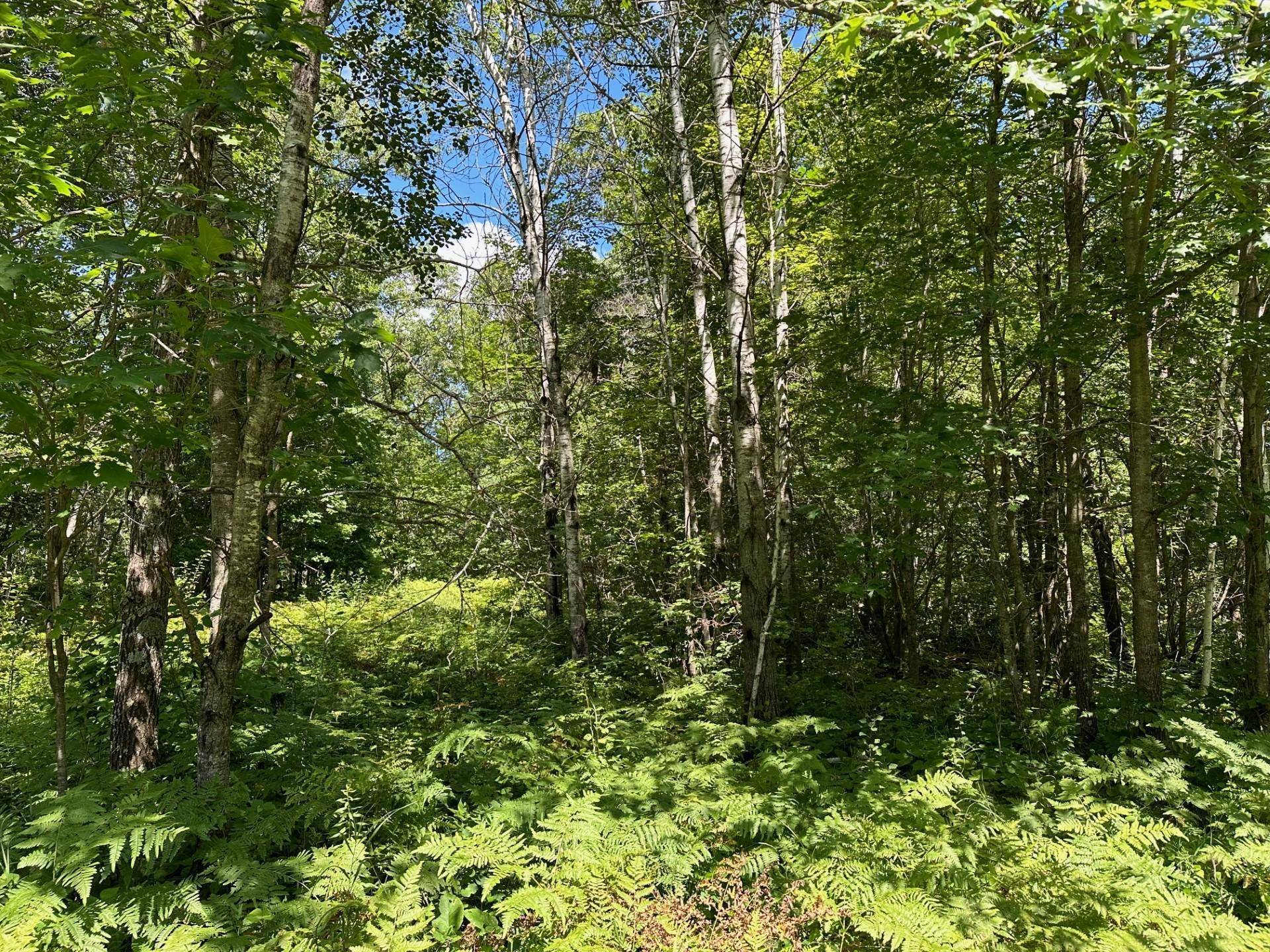 TBD Nokay Hall RD, Brainerd, MN 56401