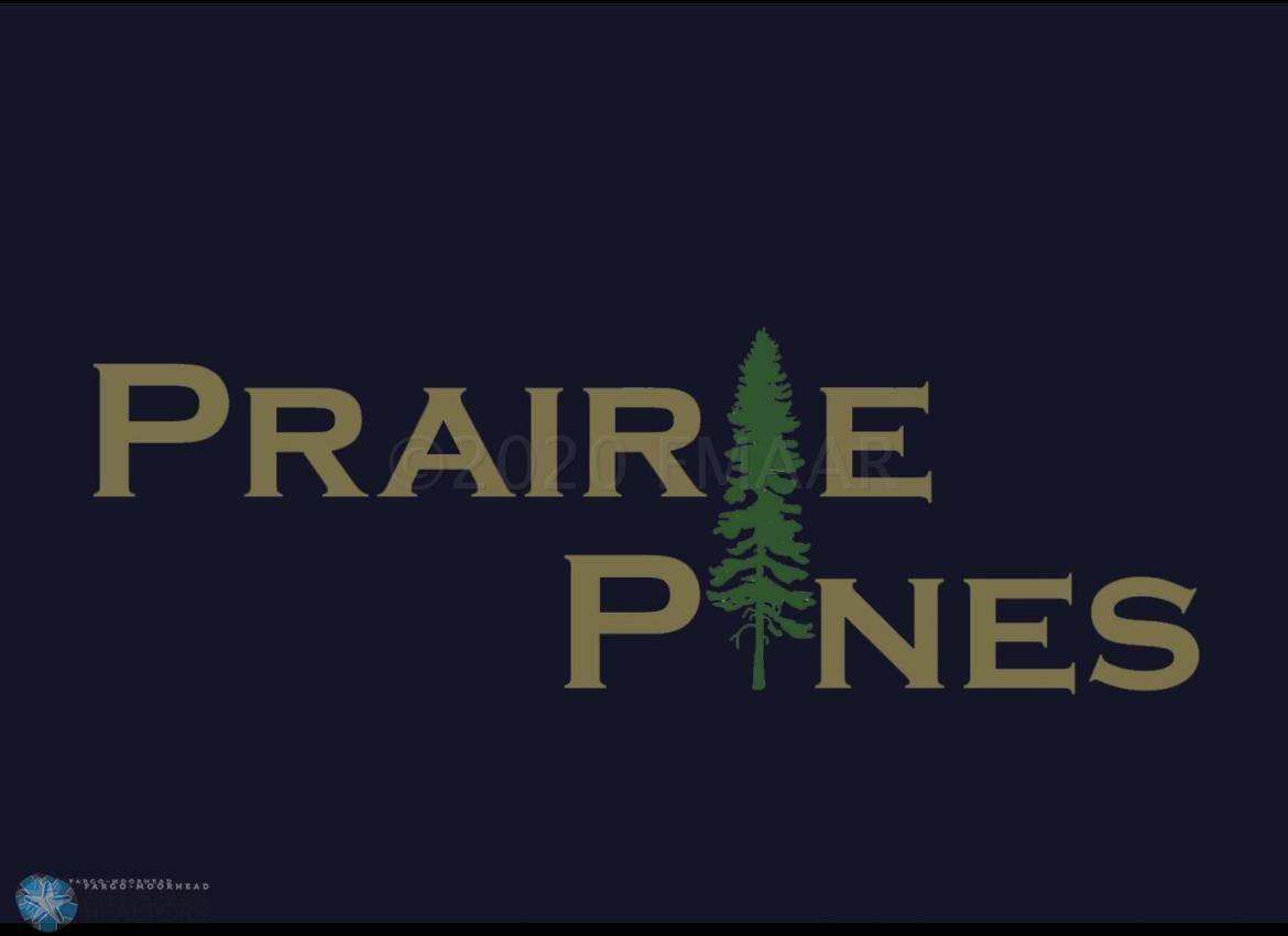 308 PINE DR, Hankinson, ND 58041