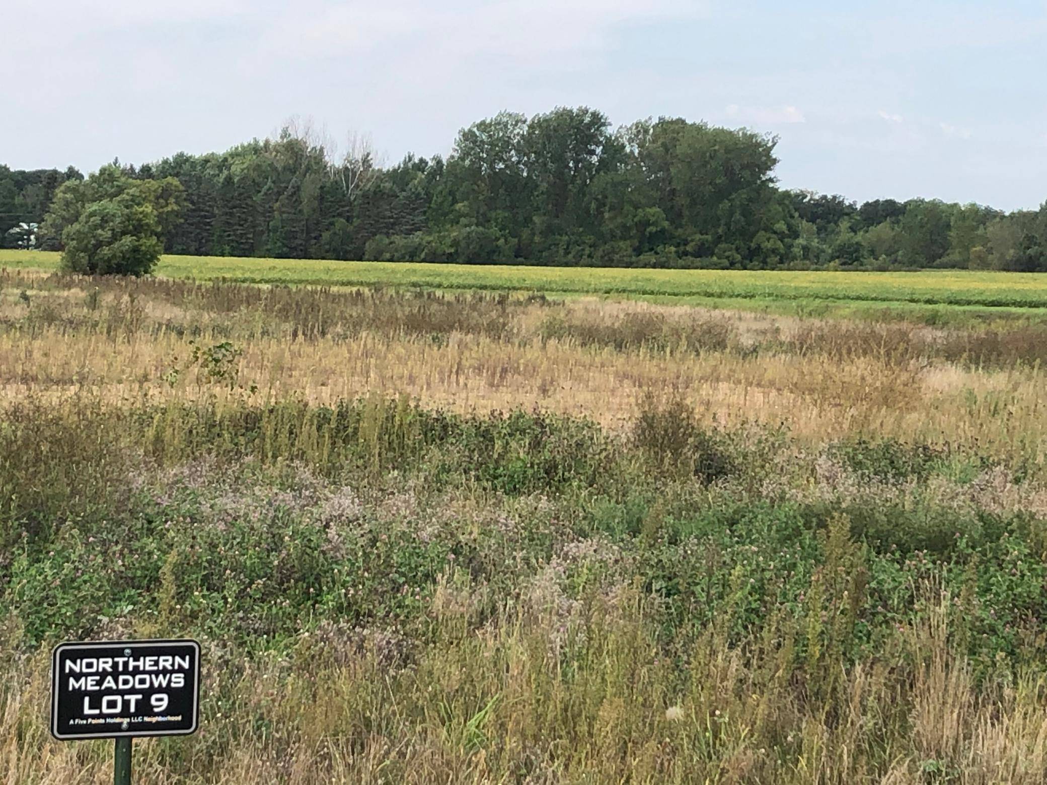 513 Northern Meadows LN, Sartell, MN 56377