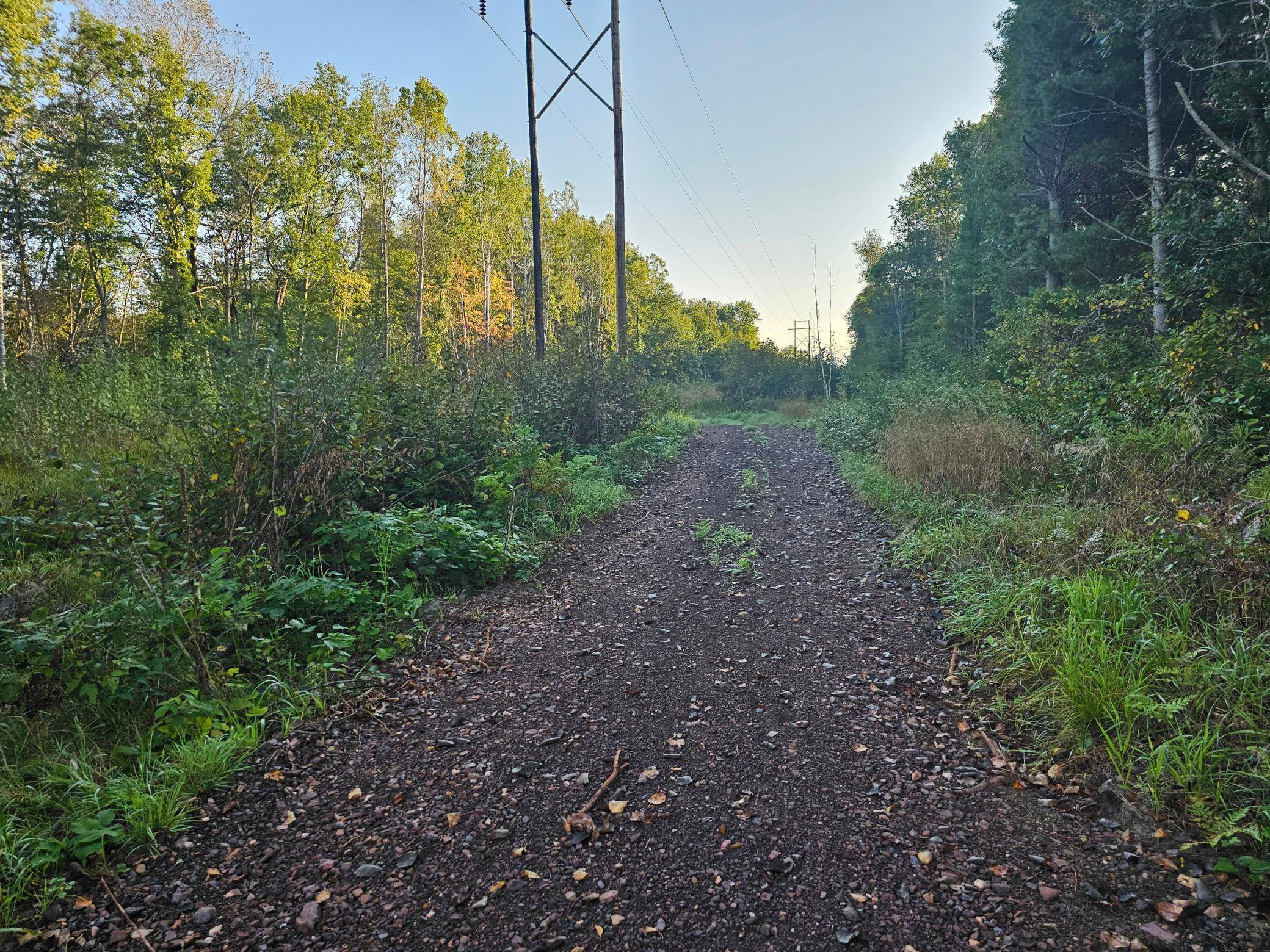 Lot 5 Blk 1, 5.4 Acres County Road 30, Crosby, MN 56441