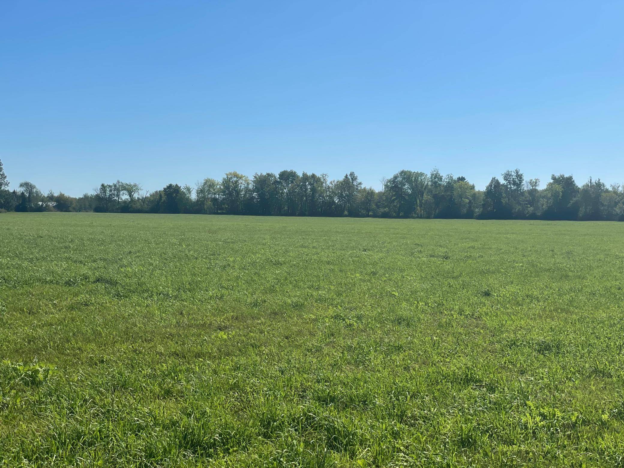 xxx 140th, Foreston, MN 56330
