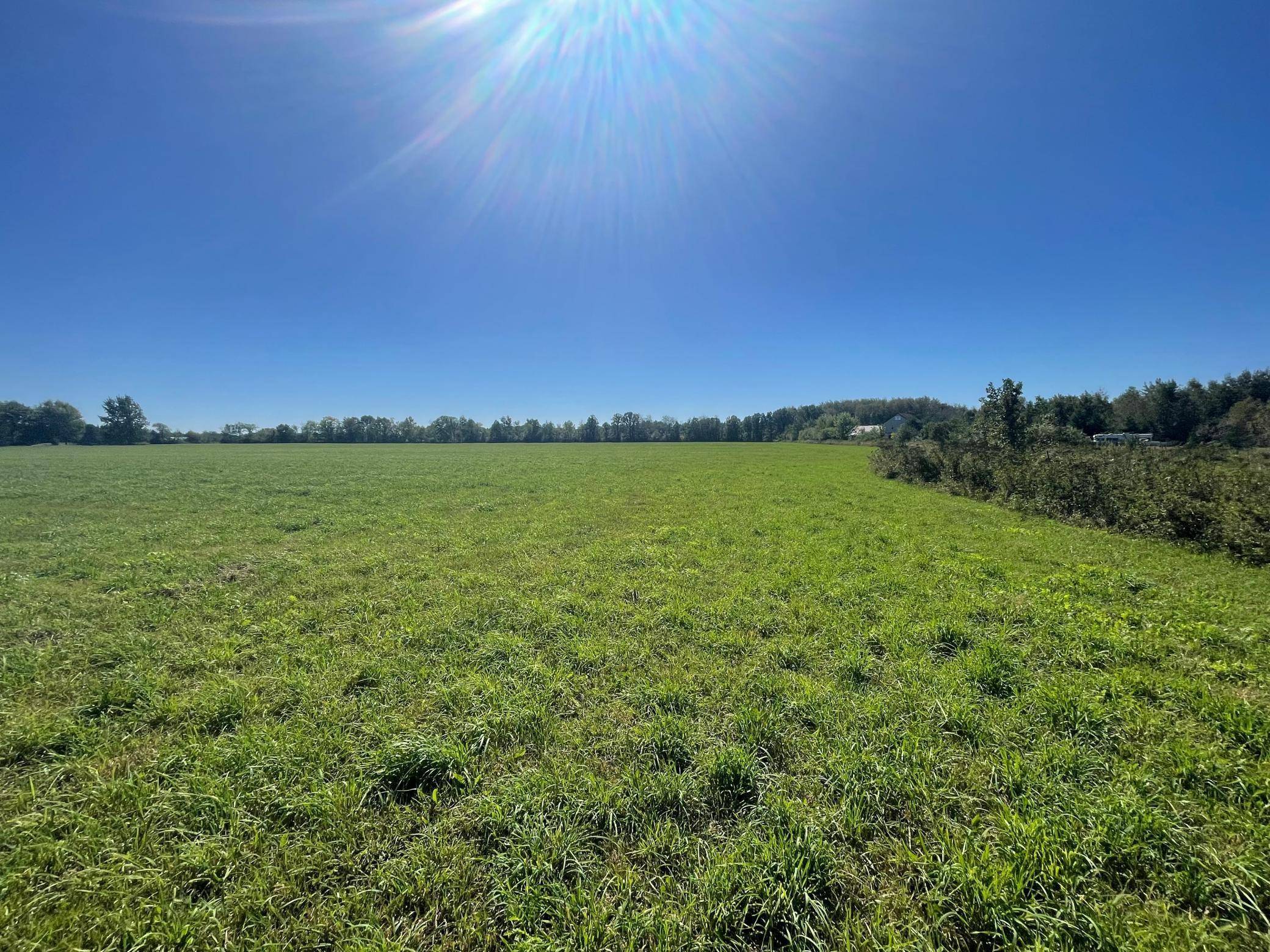 xxx 140th, Foreston, MN 56330