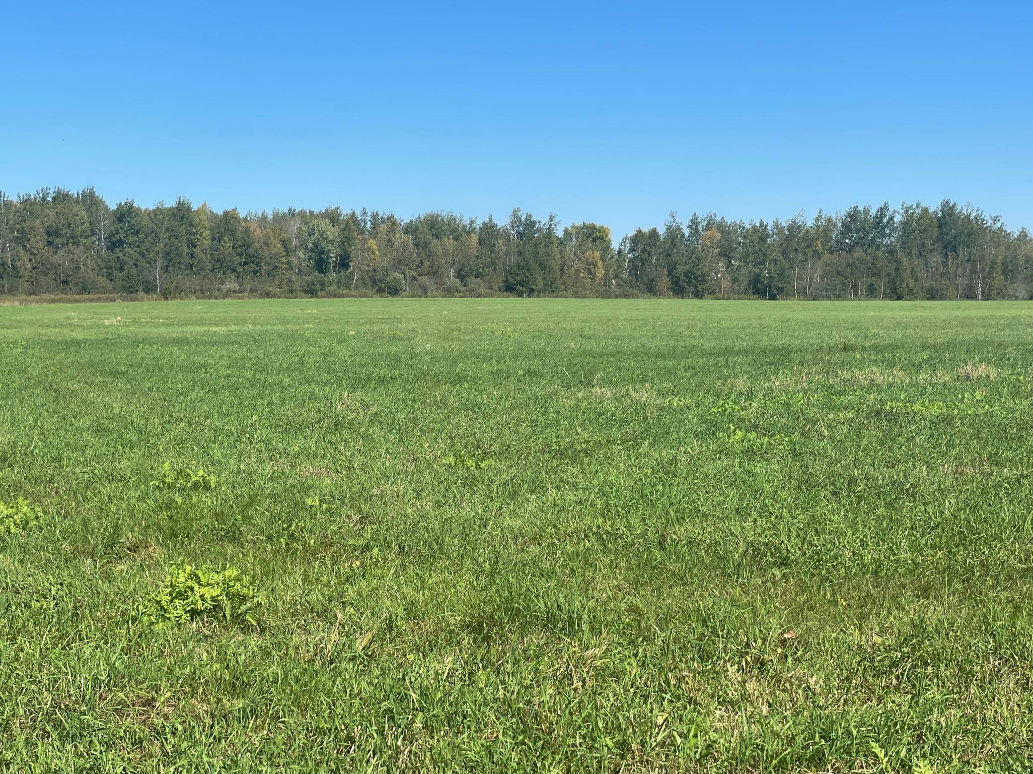 xxx 140th, Foreston, MN 56330