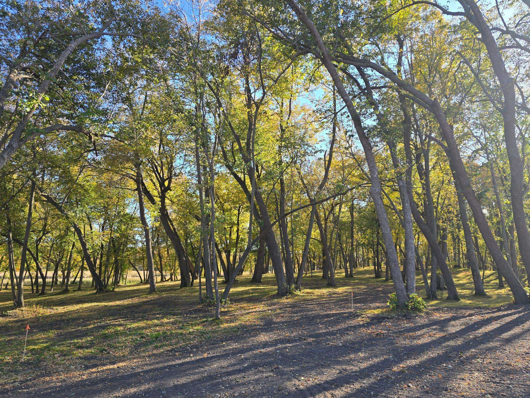 Tract B Blybergs Lane, Pelican Rapids, MN 56572