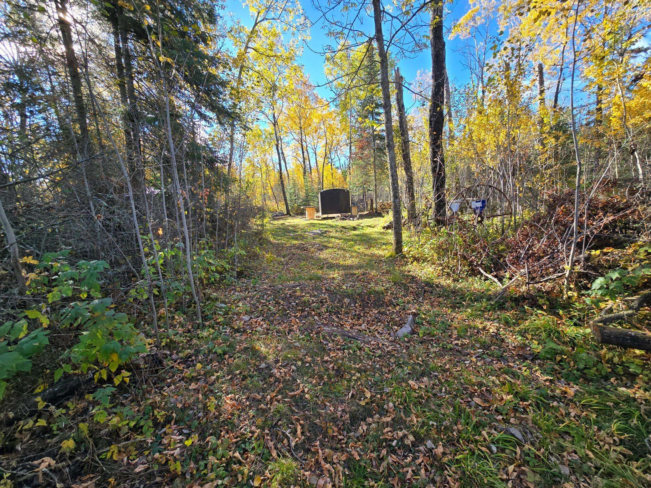 Tract 8 Brush Island, Angle Inlet, MN 56711
