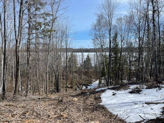 TBD Lot 5 New Manz DR, Lake George, MN 56458
