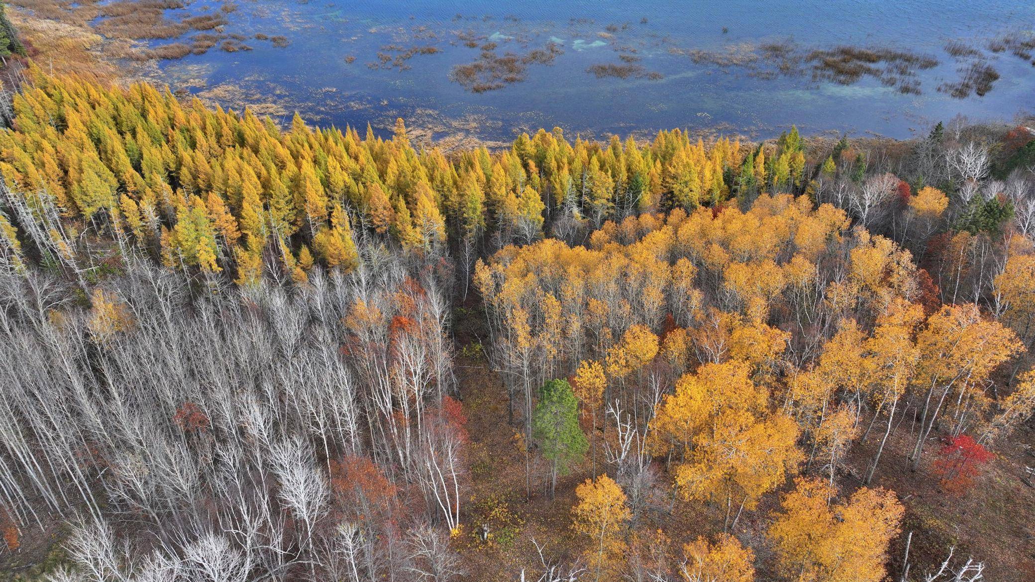 TBD New Paradise Point Drive - Lot 8, Lake George, MN 56458