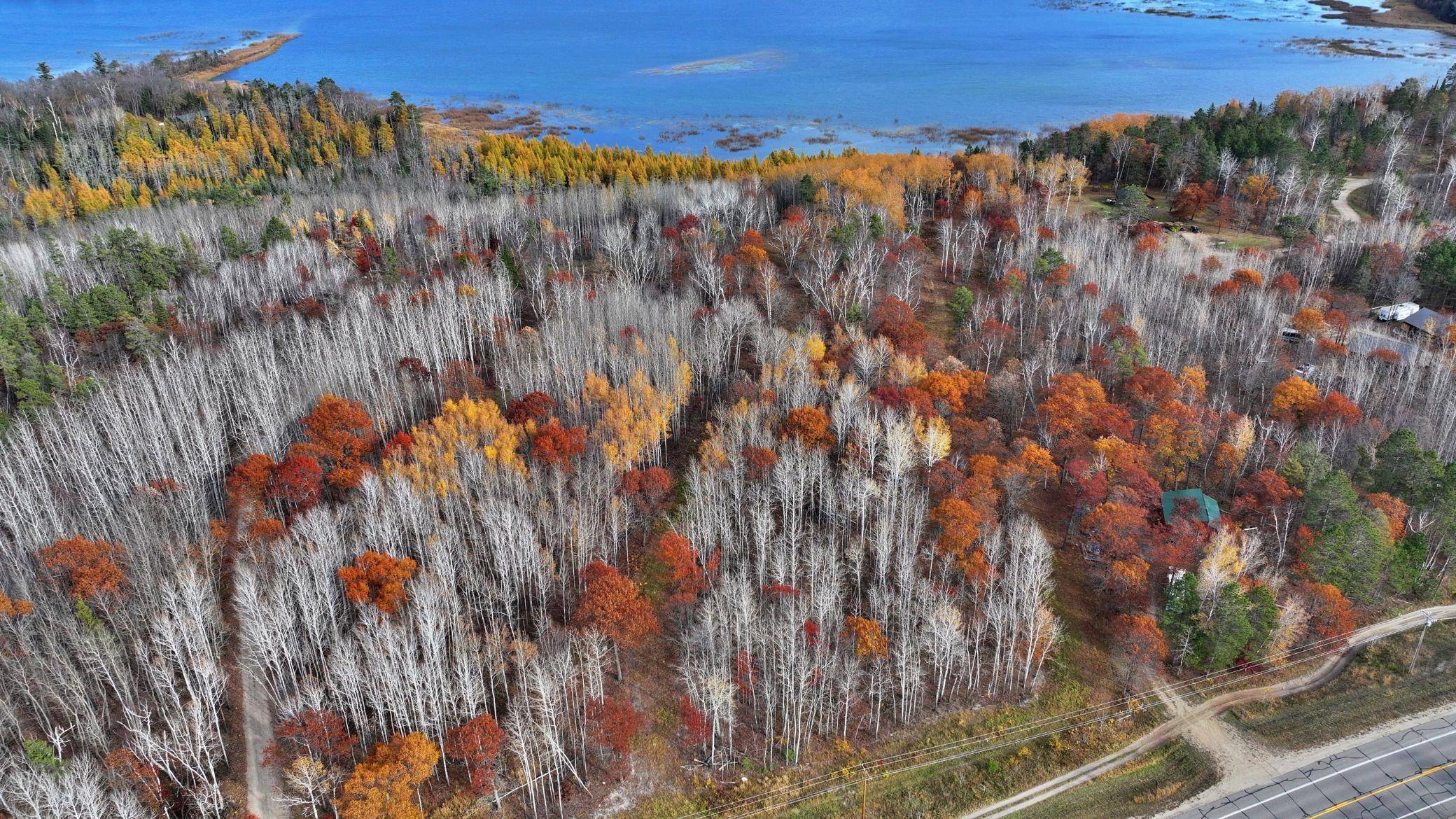 TBD County 4 - Lot 10, Lake George, MN 56458