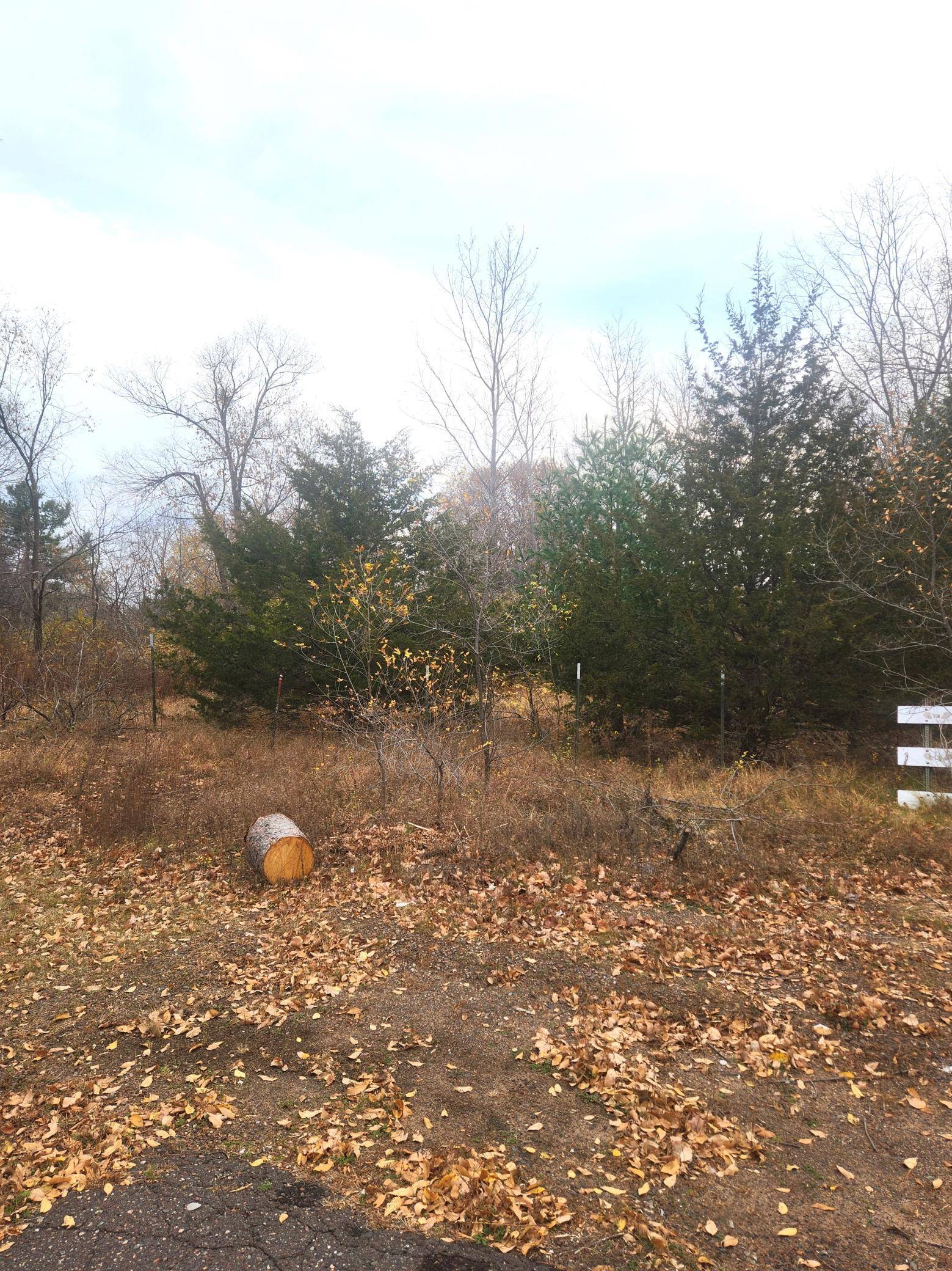 xxx W Leonard ST, Chetek, WI 54728