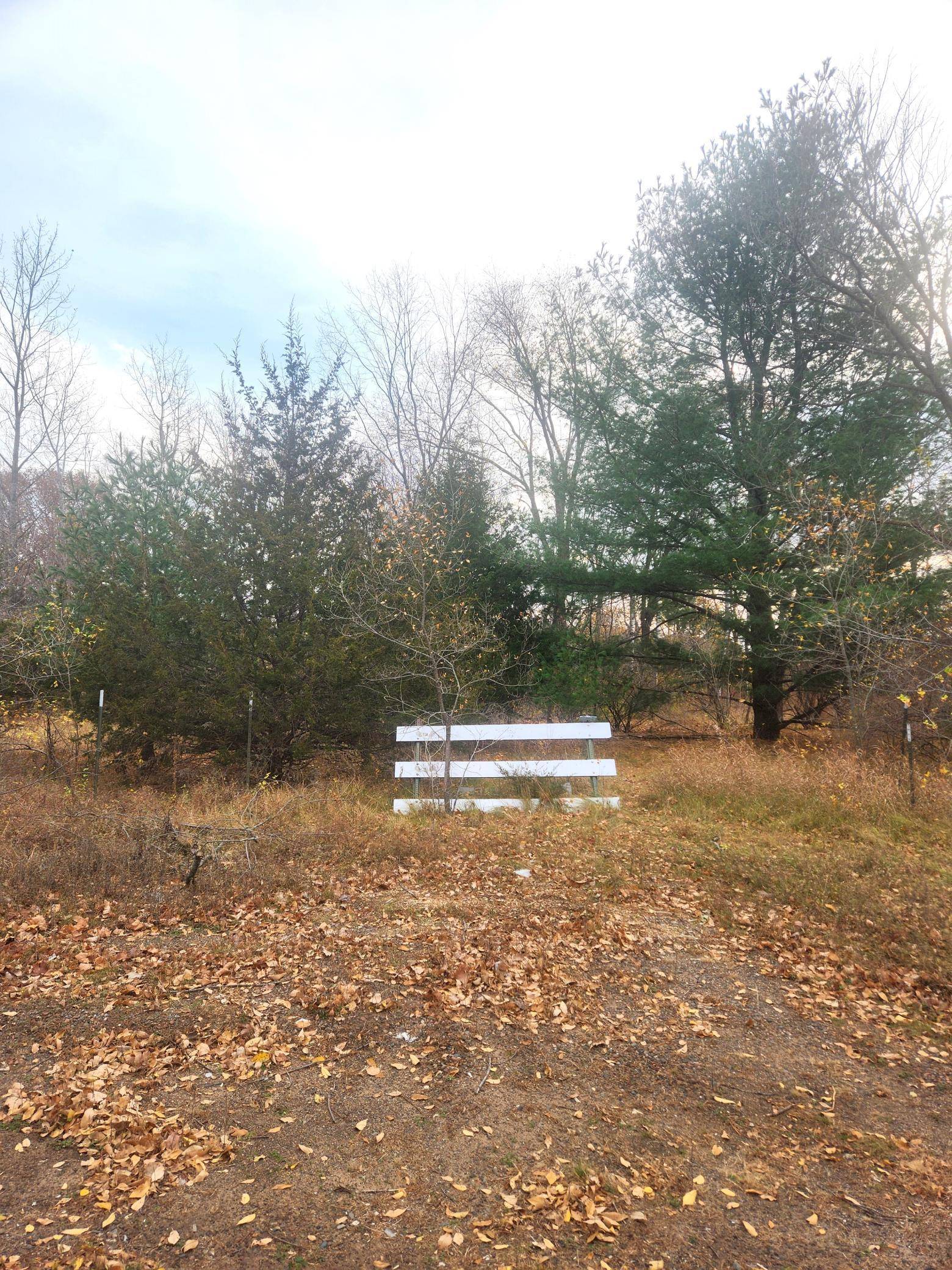 xxx W Leonard ST, Chetek, WI 54728