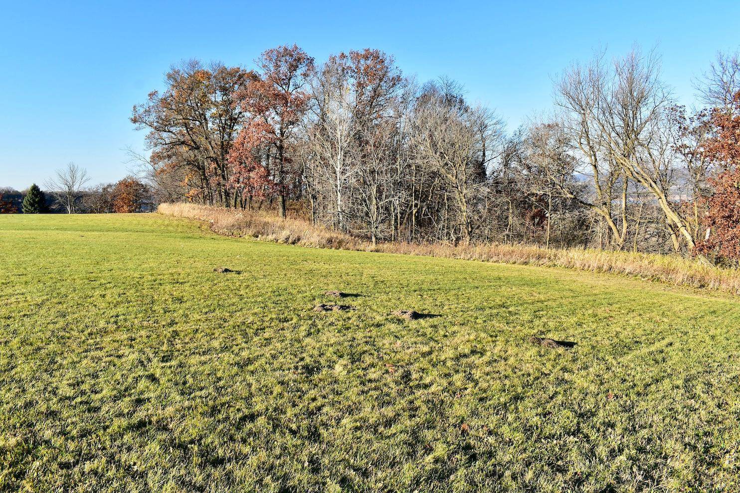 Lot 9 177th Avenue, Wabasha, MN 55981