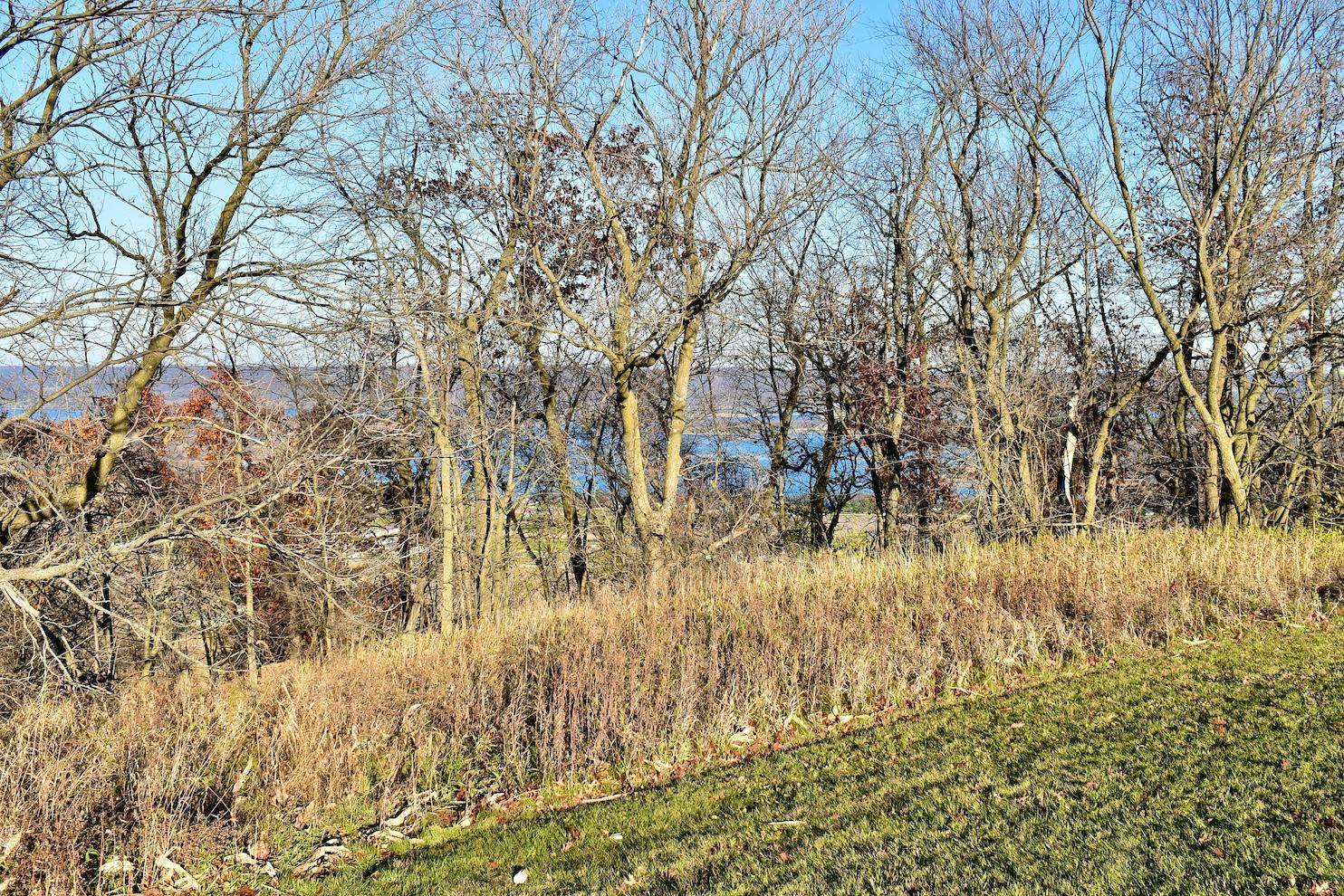 Lot 9 177th Avenue, Wabasha, MN 55981