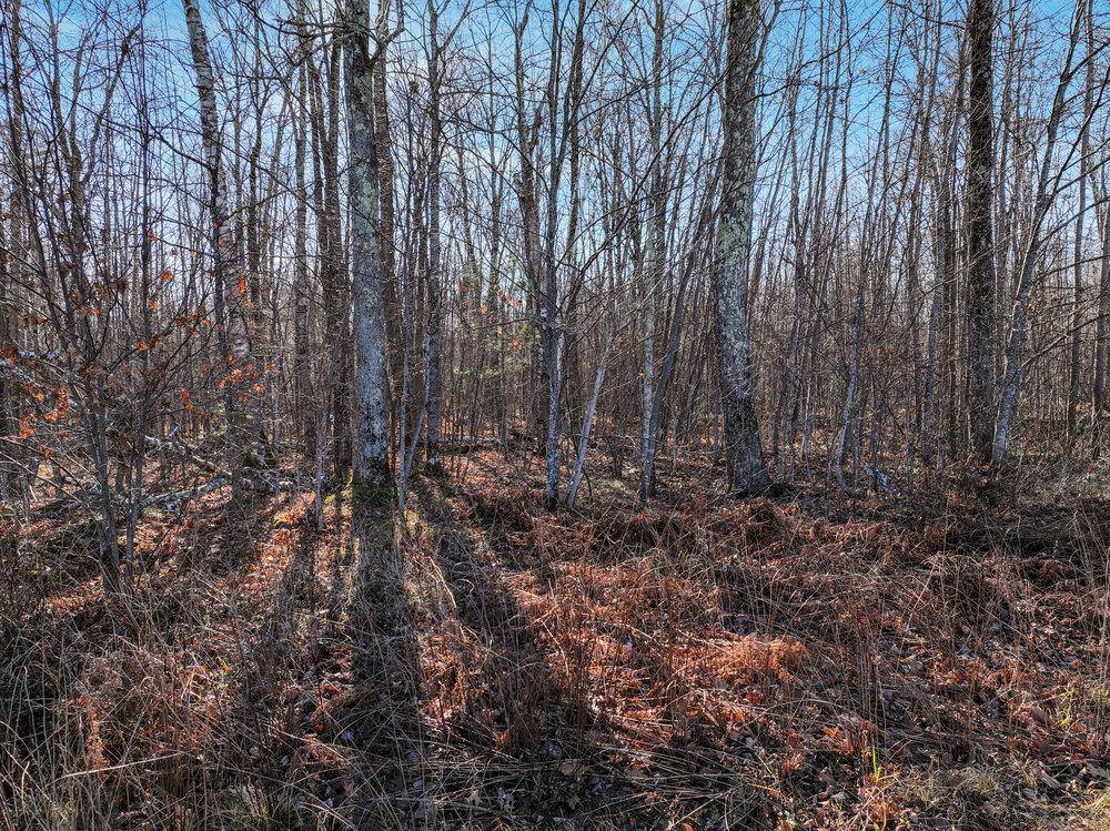 Lot 14 Peninsula RD, Hayward, WI 54843