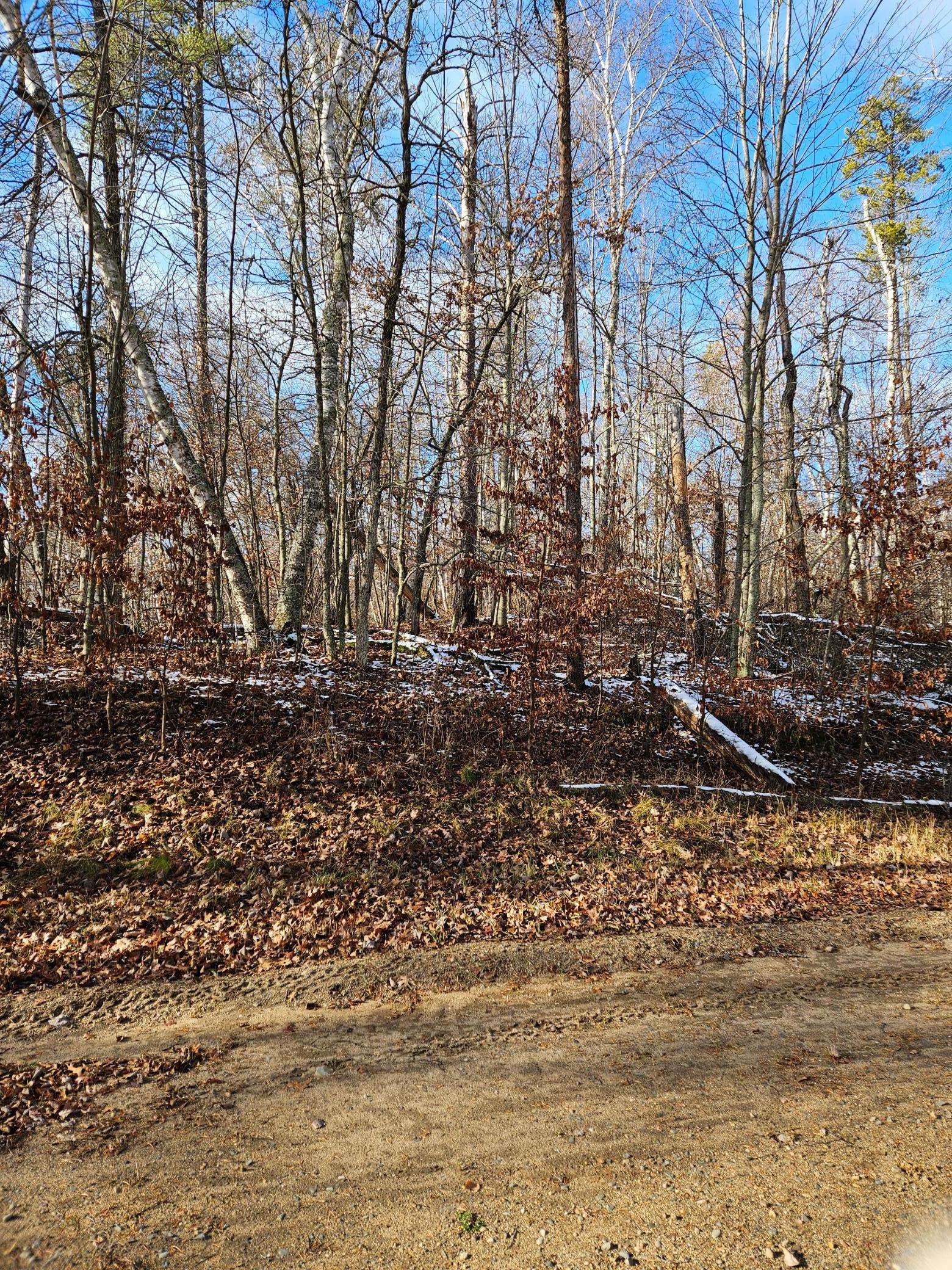 Lot 1 Raccoon LN, Breezy Point, MN 56472