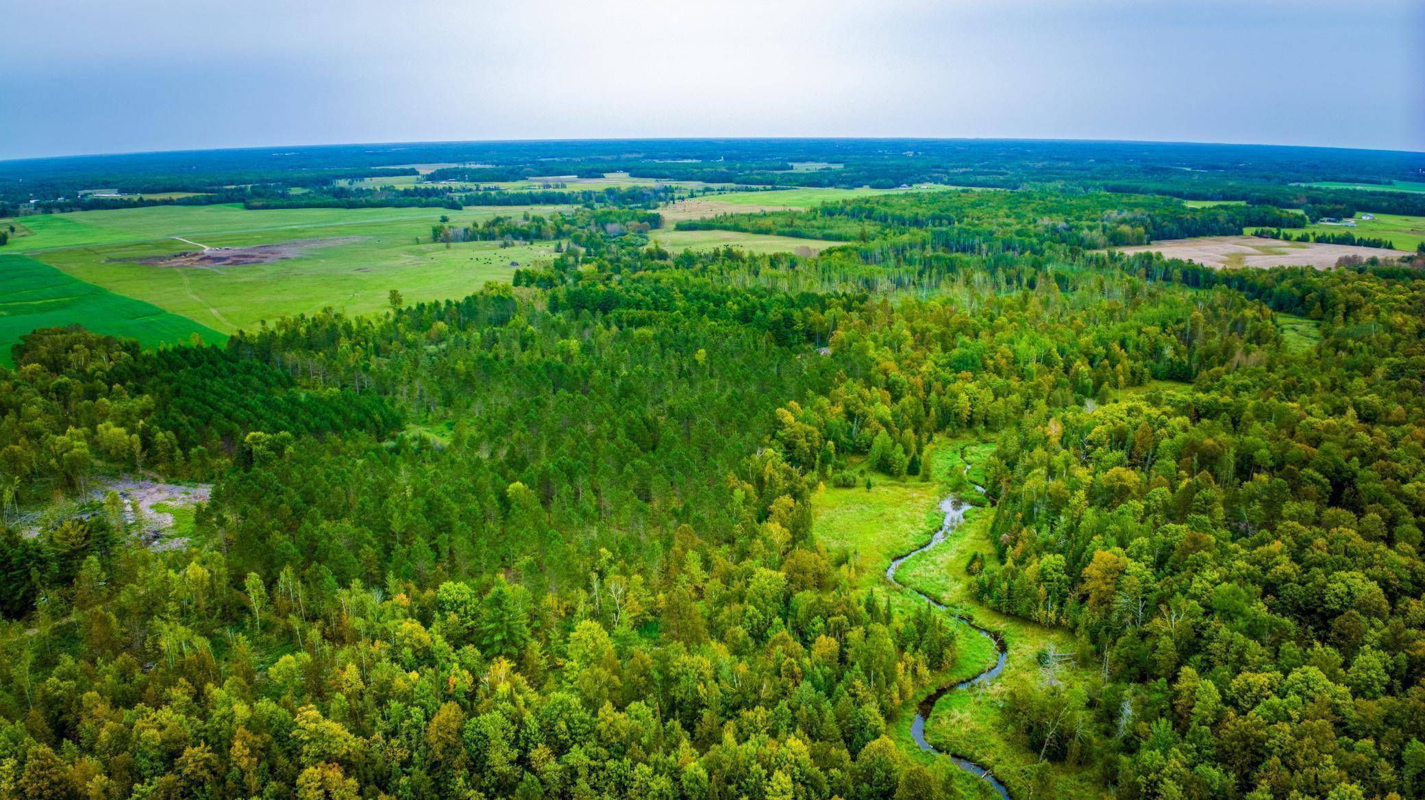 Lot 2 N Blackduck Lake RD NE, Hines, MN 56647