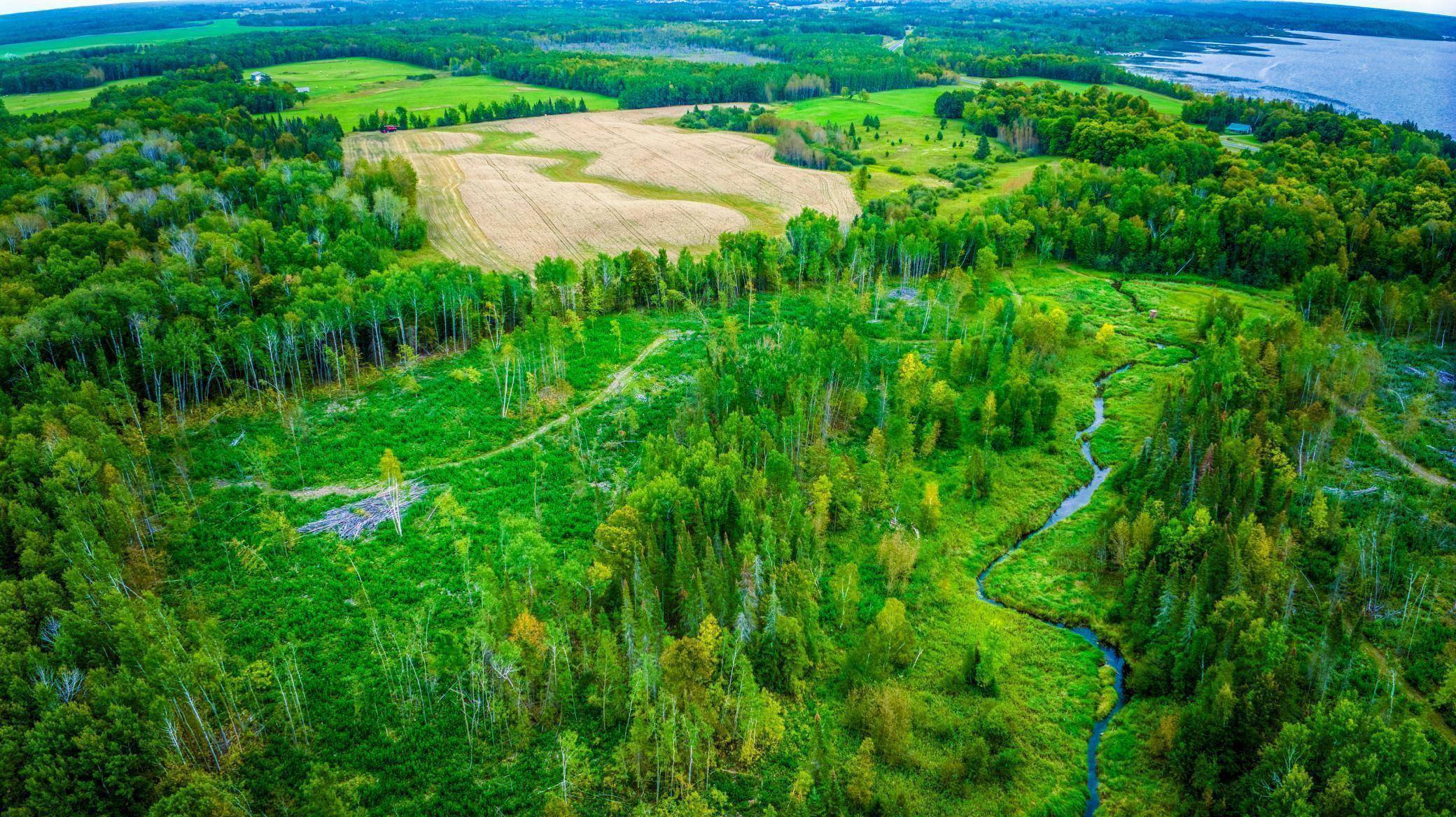 Lot 3 N Blackduck Lake RD NE, Hines, MN 56647