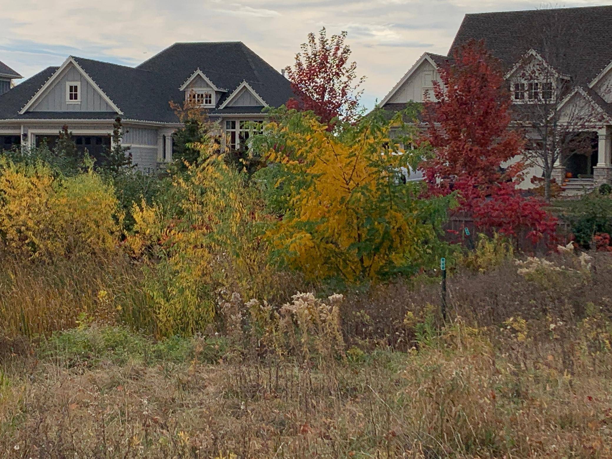 701 Shawnee Woods RD, Medina, MN 55340