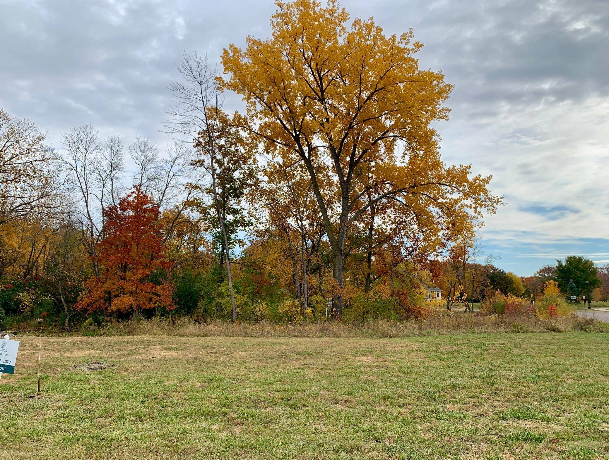 4400 Poppy DR, Medina, MN 55340