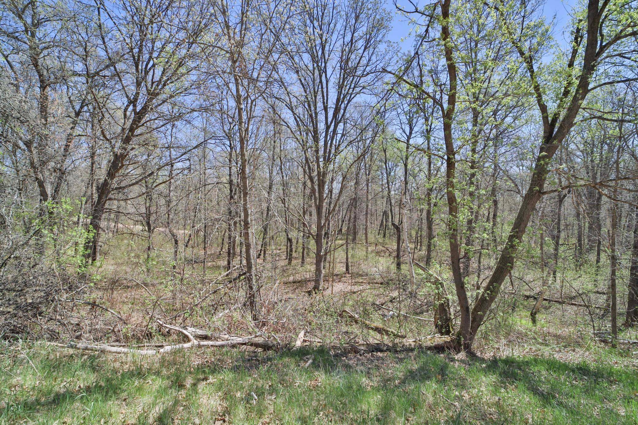 TBD Cedar St, Breezy Point, MN 56472