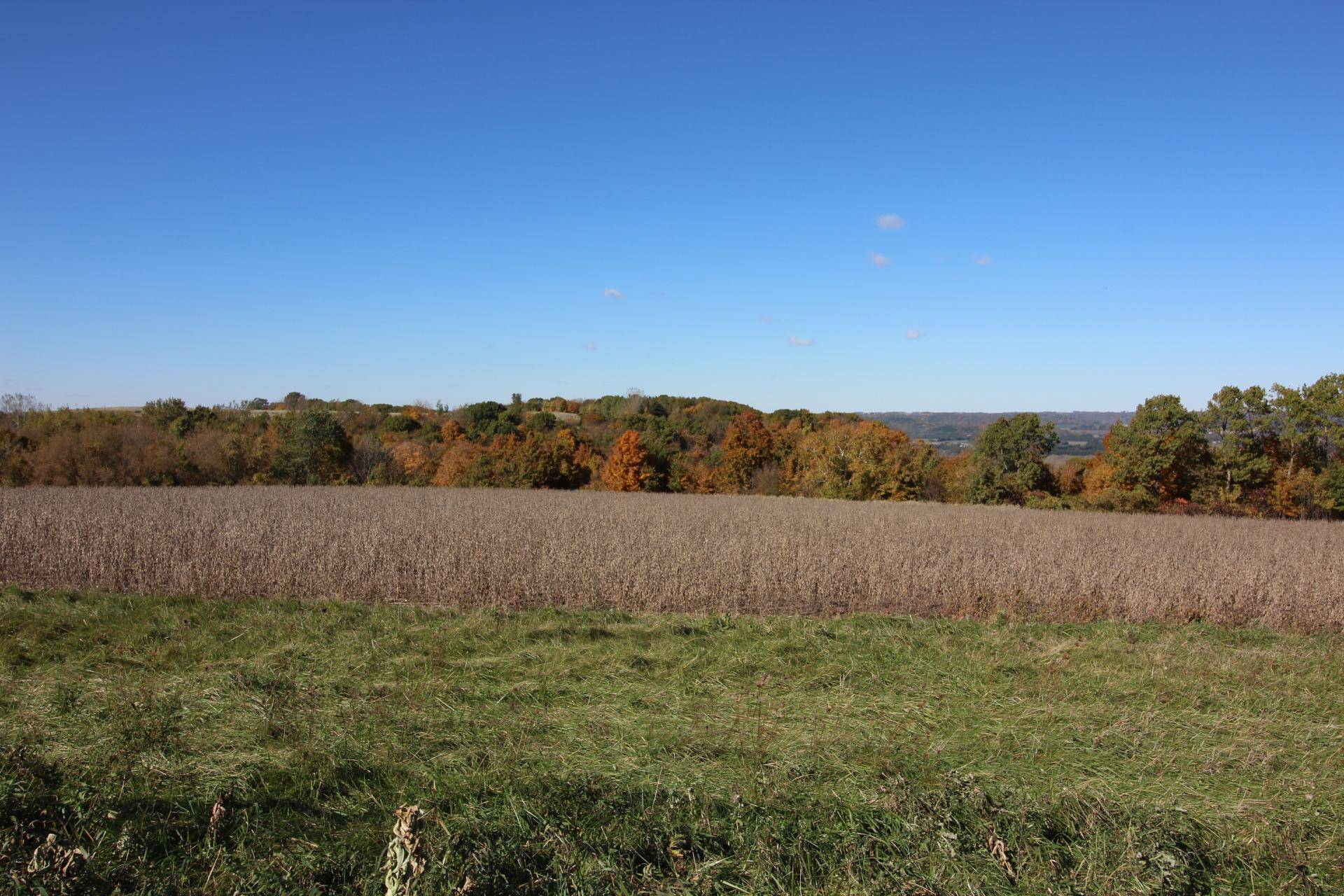 Lot 14 706th ST, Wabasha, MN 55981