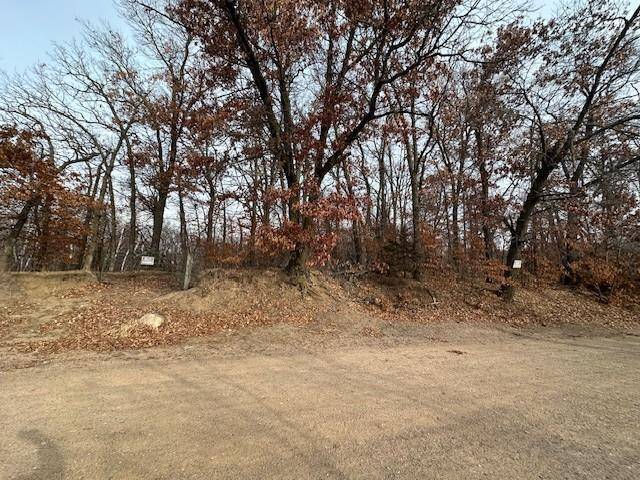 XXXX 273rd Ave NW, Livonia Twp, MN 55330