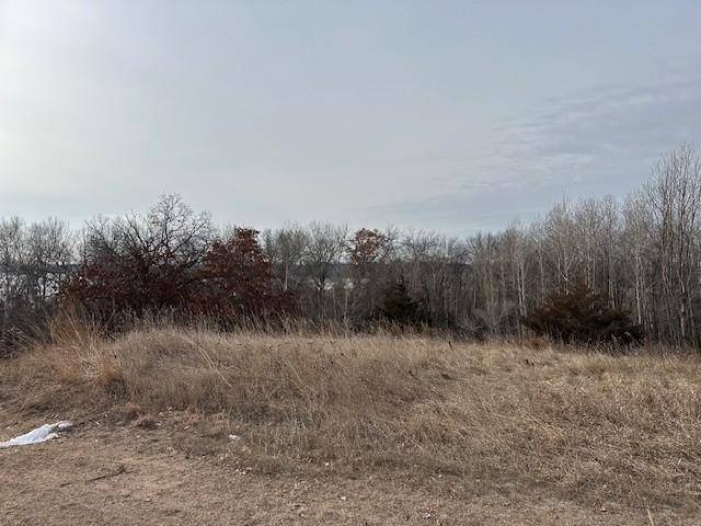 XXXX 273rd Ave NW, Livonia Twp, MN 55330