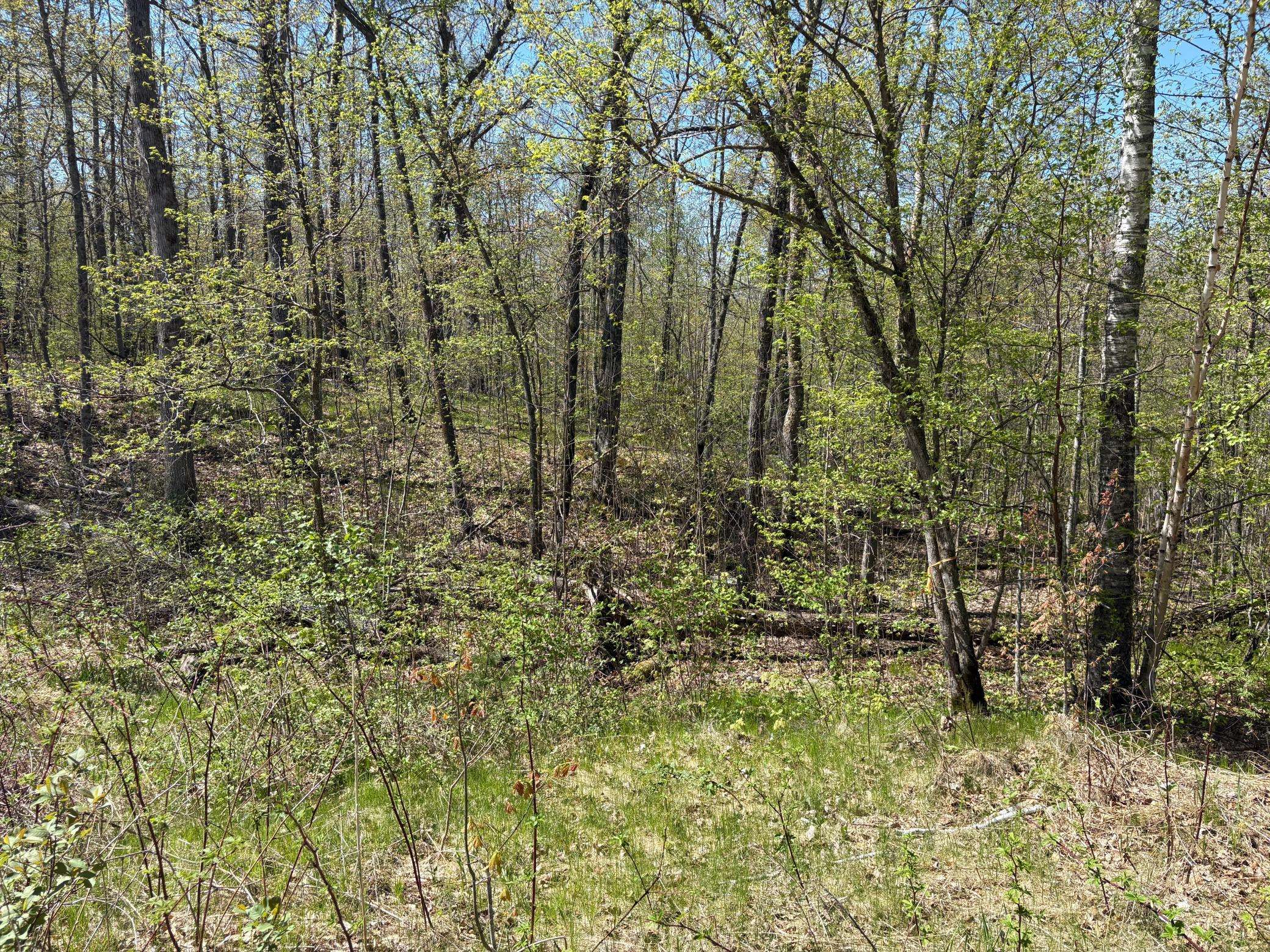 5xxx Banyan DR, Garrison, MN 56450