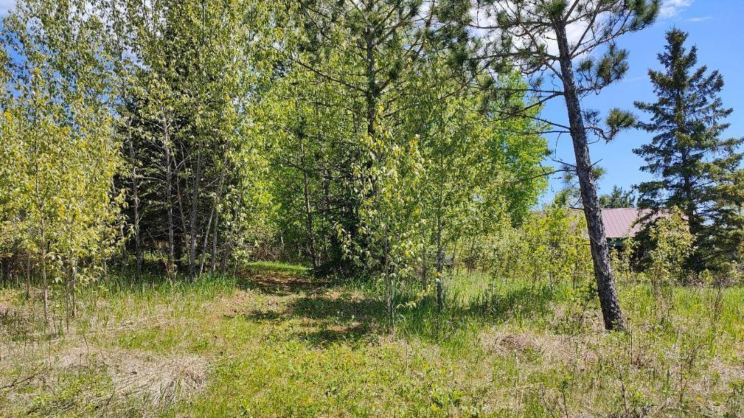 80046 Alder Lane, Tower, MN 55790