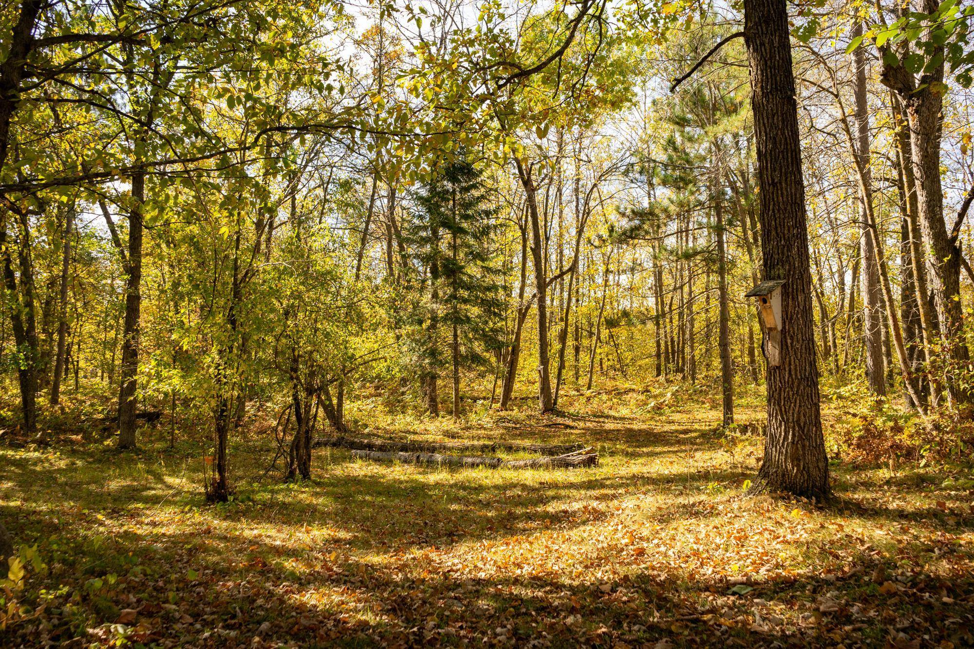 Tract B Brietbach RD, Park Rapids, MN 56470