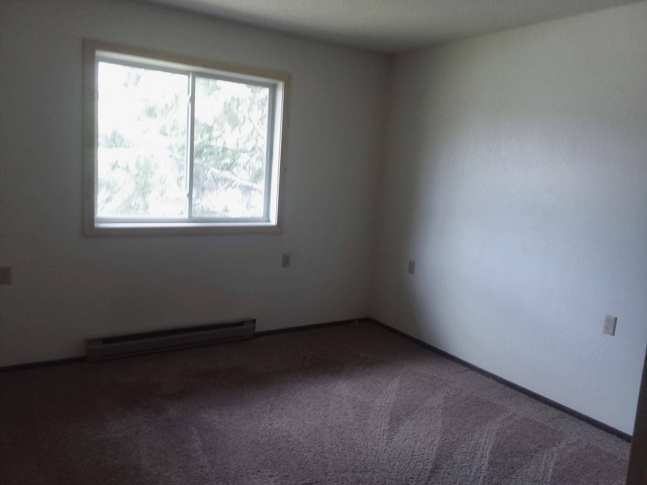 207 Cedar ST NE, Remer, MN 56672