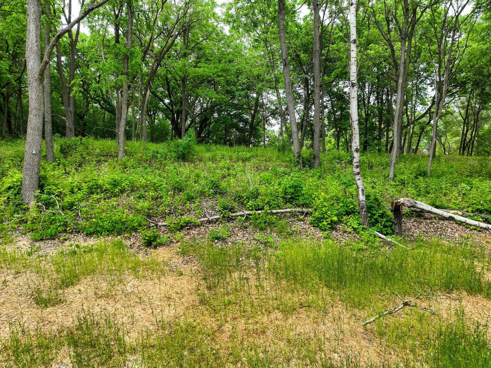 2685 Woodcliffe Trl, Hastings, MN 55033