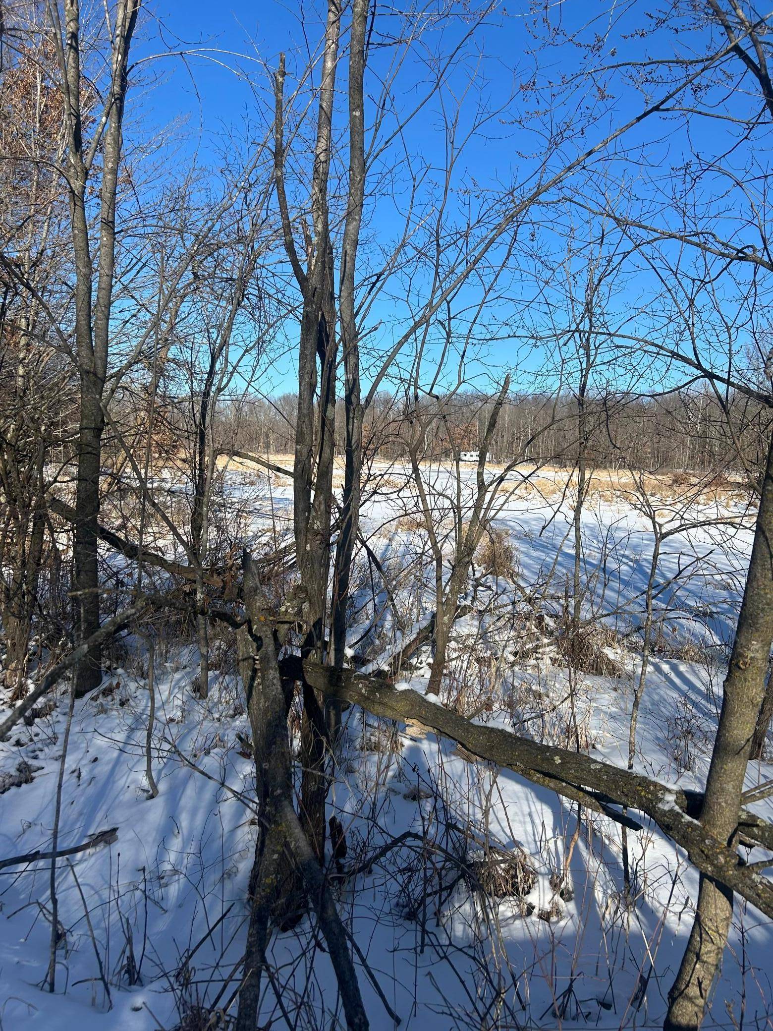 xxx Cardinal TRL, Randall, MN 56475