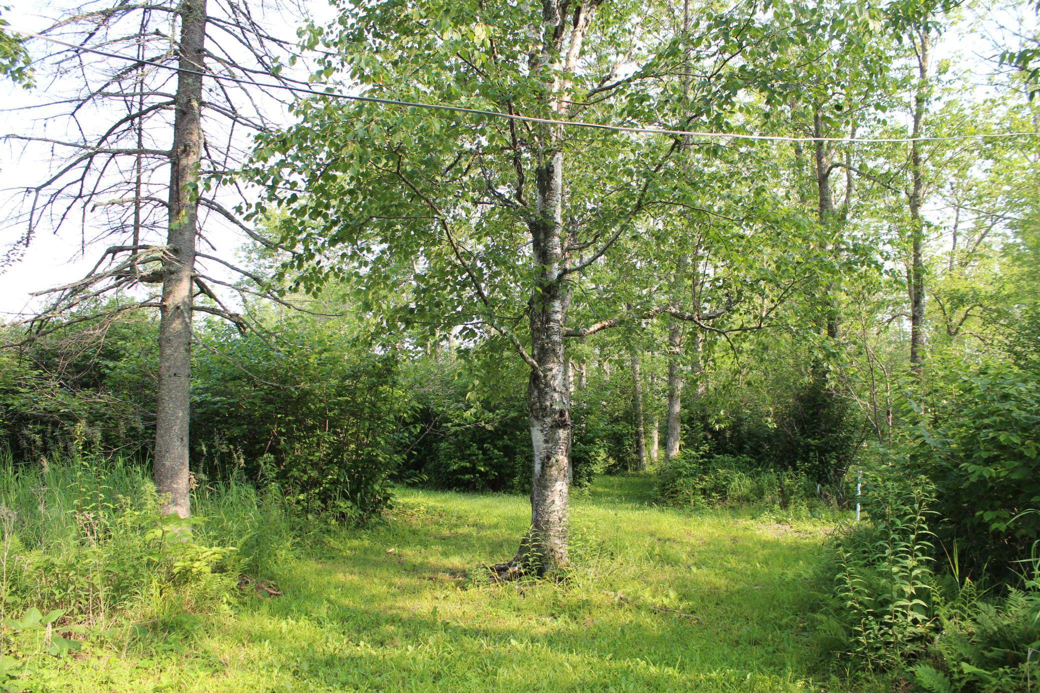Lot 1 E Camp Amnicon RD, Superior, WI 54874
