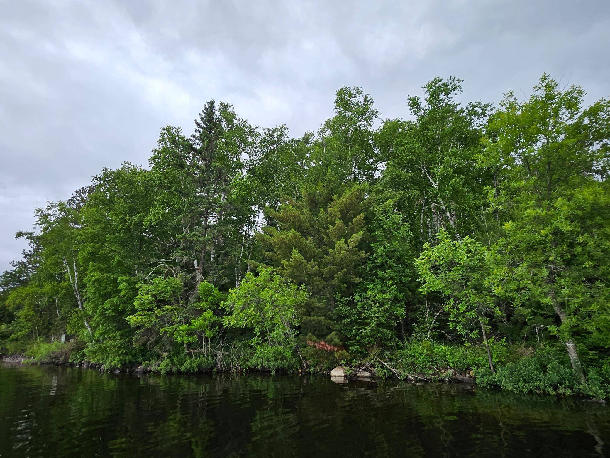xxx Hinsdale Island, Cook, MN 55723