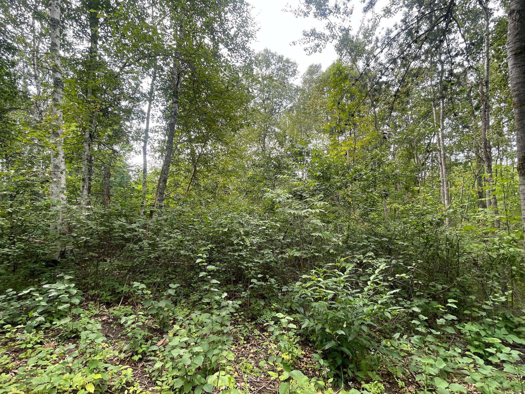 Lot 2 Patriot Ave, Pequot Lakes, MN 56472
