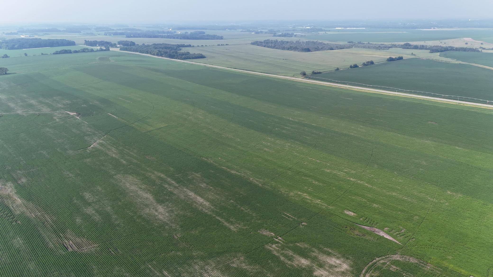 TBD County 61, Browerville, MN 56438