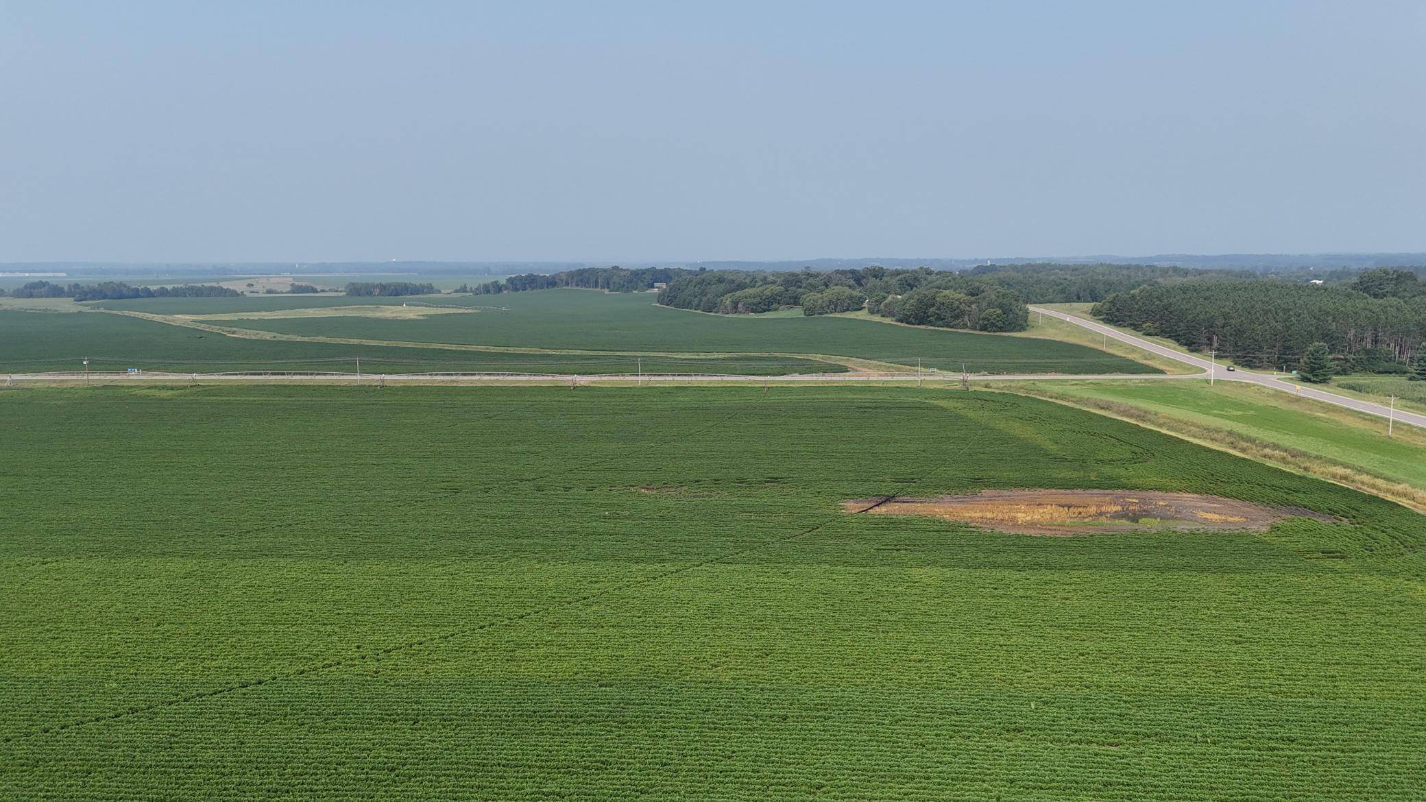 0000 County 61, Browerville, MN 56438