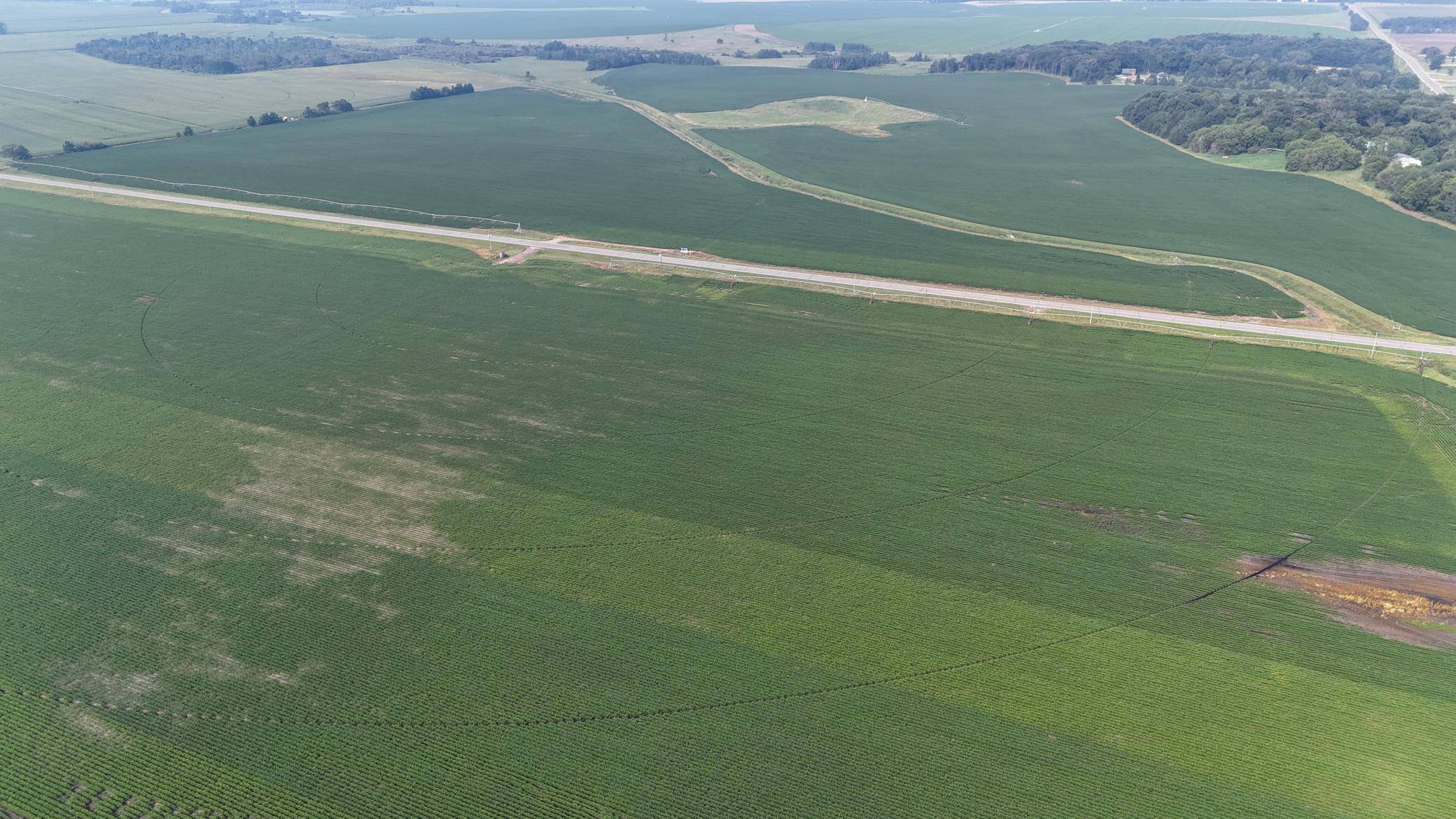 0000 County 61, Browerville, MN 56438