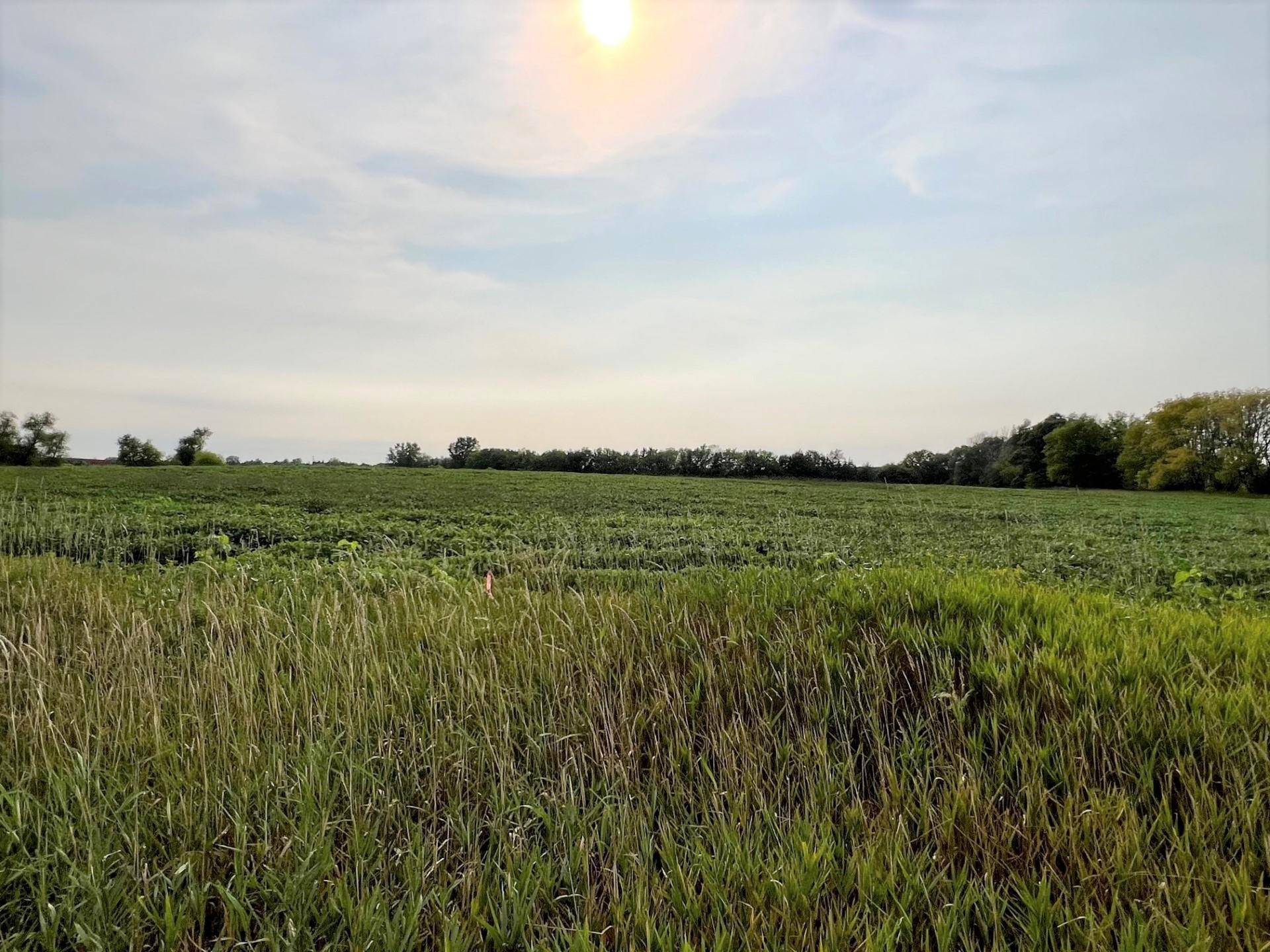 XXXXX Jeffrey Ave N - Parcel B, Hugo, MN 55038