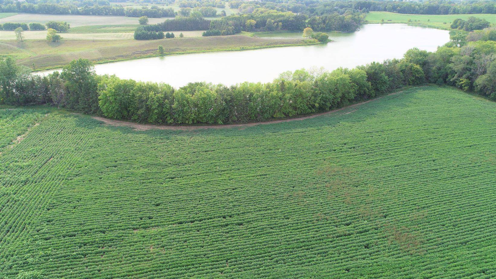 XXXXX Jeffrey Ave N - Parcel B, Hugo, MN 55038