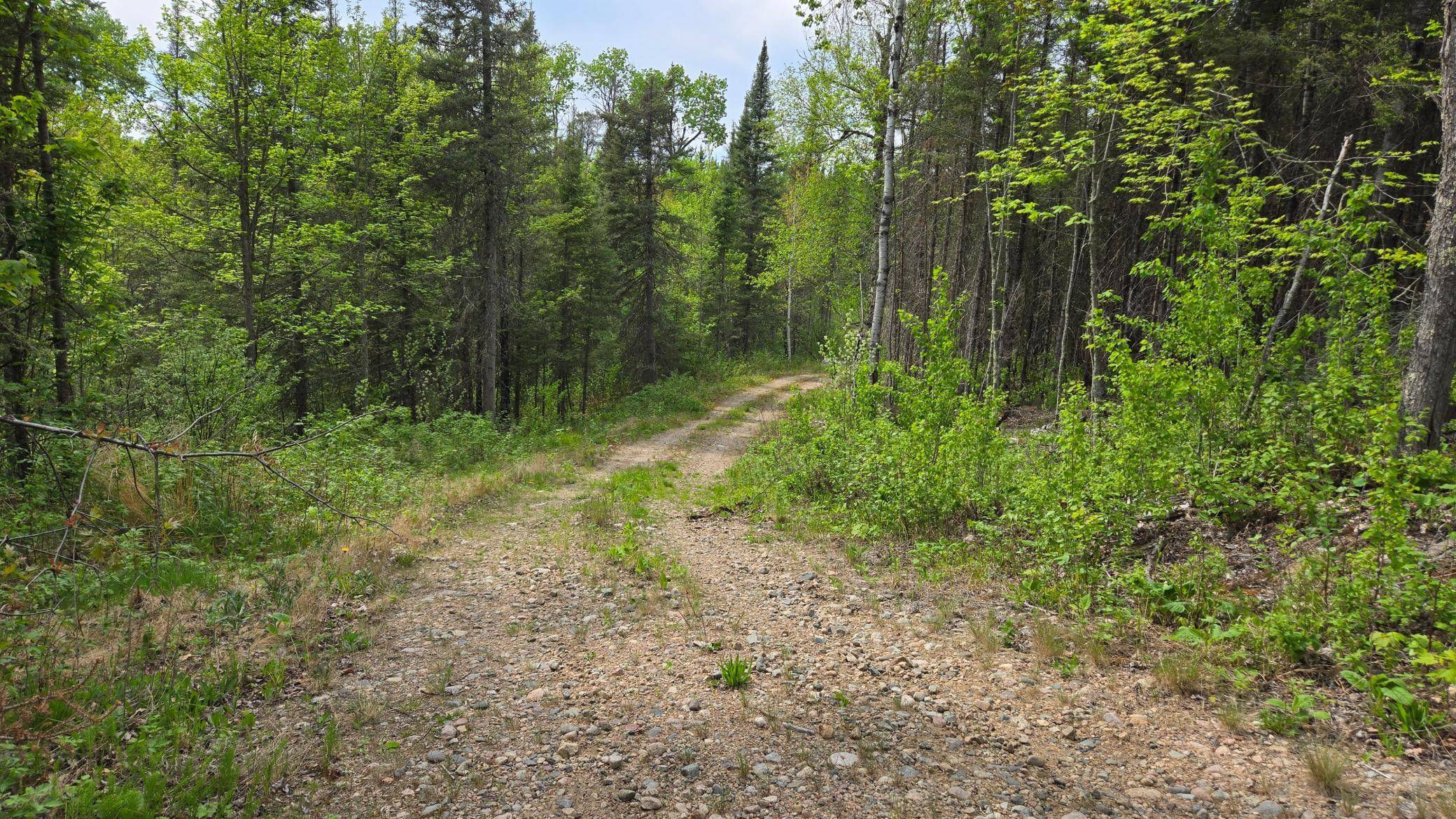 7316 Crane Lake RD, Crane Lake, MN 55725