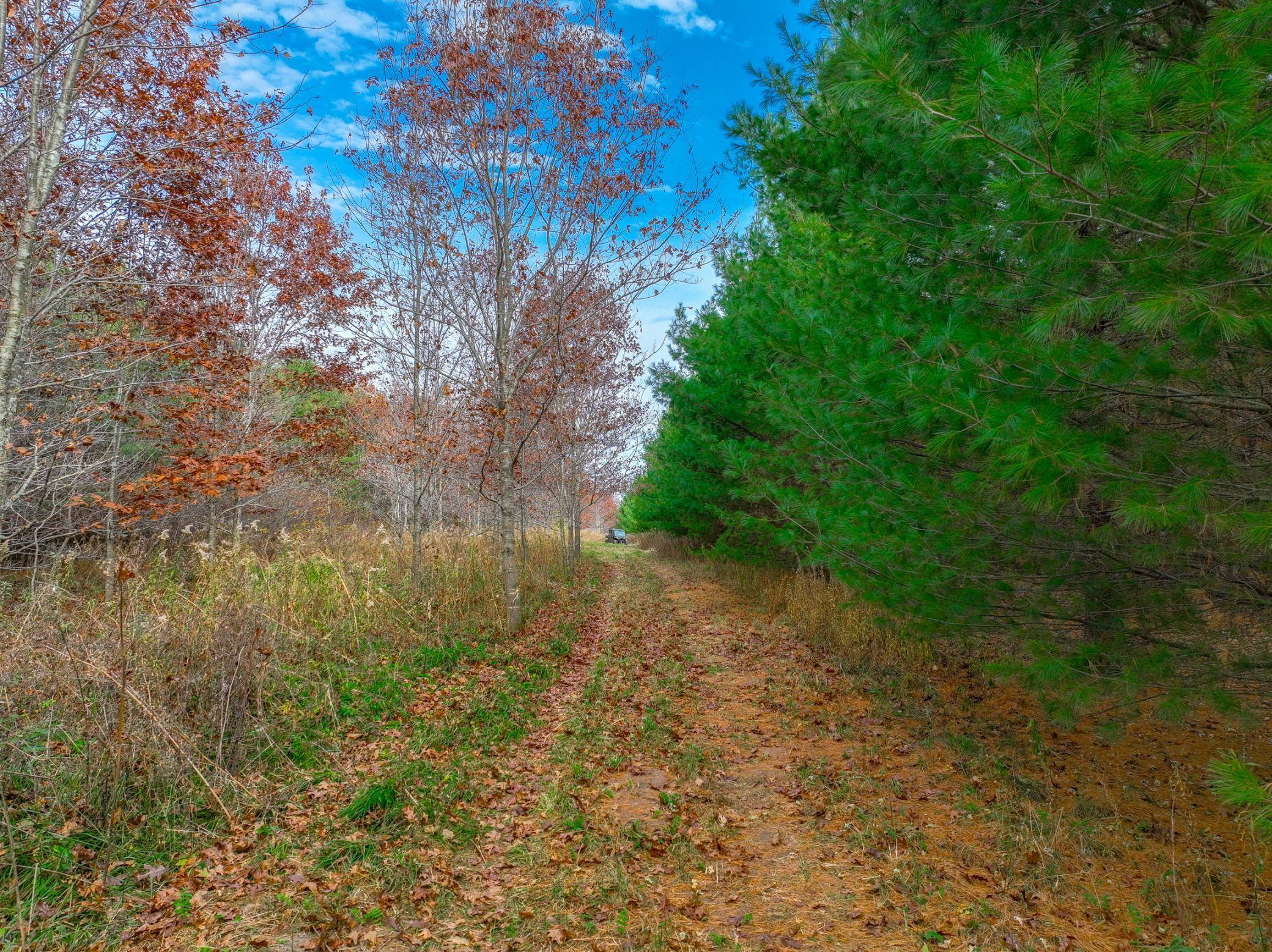 xxx Lot #4 110th AVE, Hammond, WI 54015
