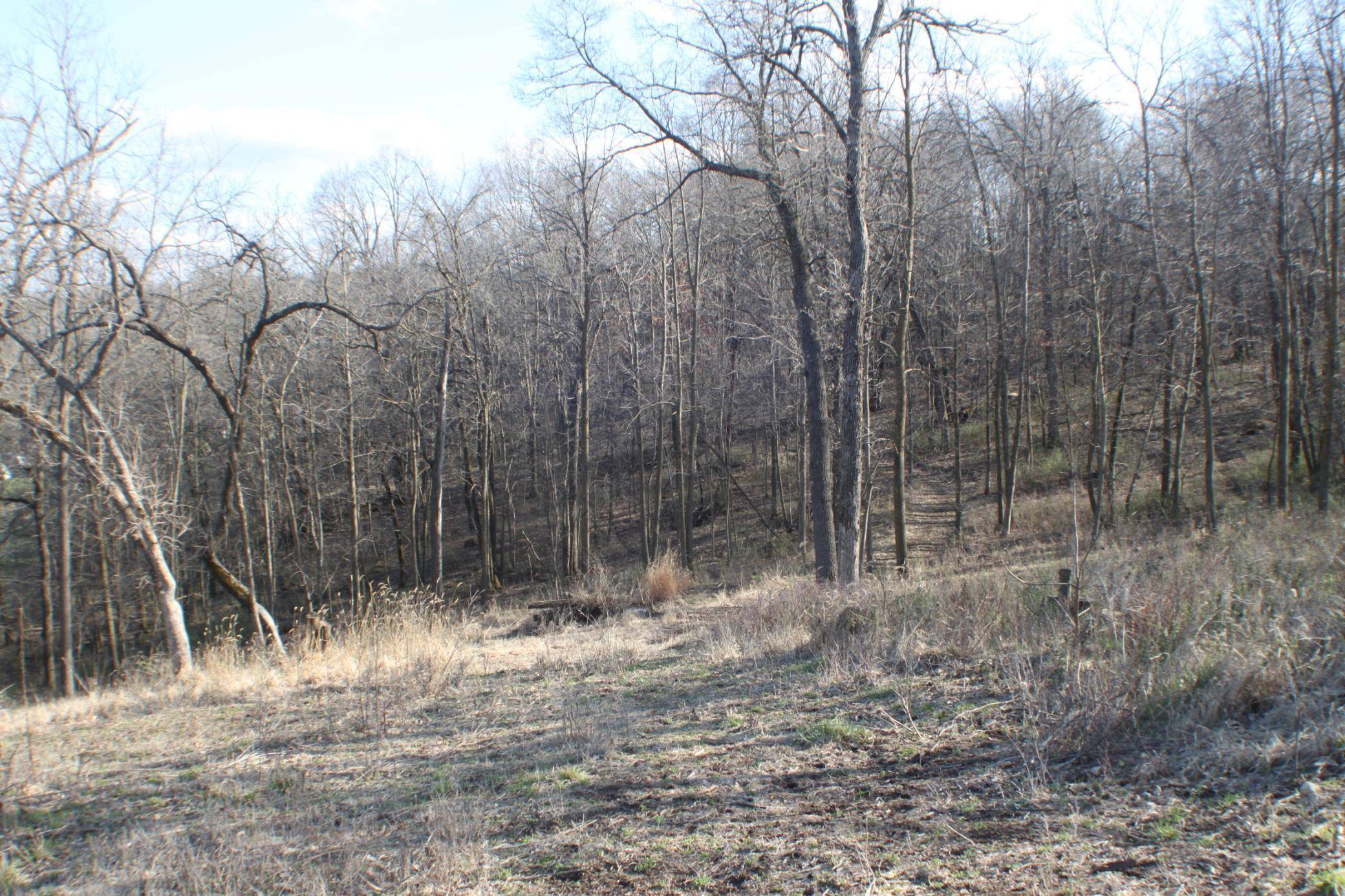 xxxxB Kings Park RD NW, Oronoco, MN 55960