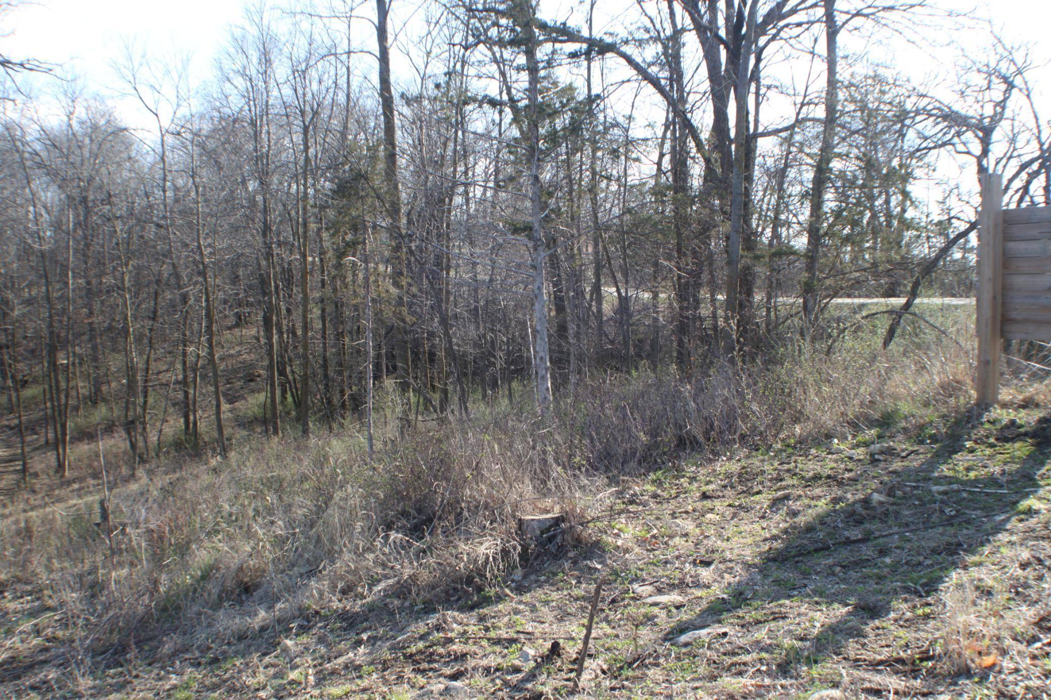 xxxxB Kings Park RD NW, Oronoco, MN 55960