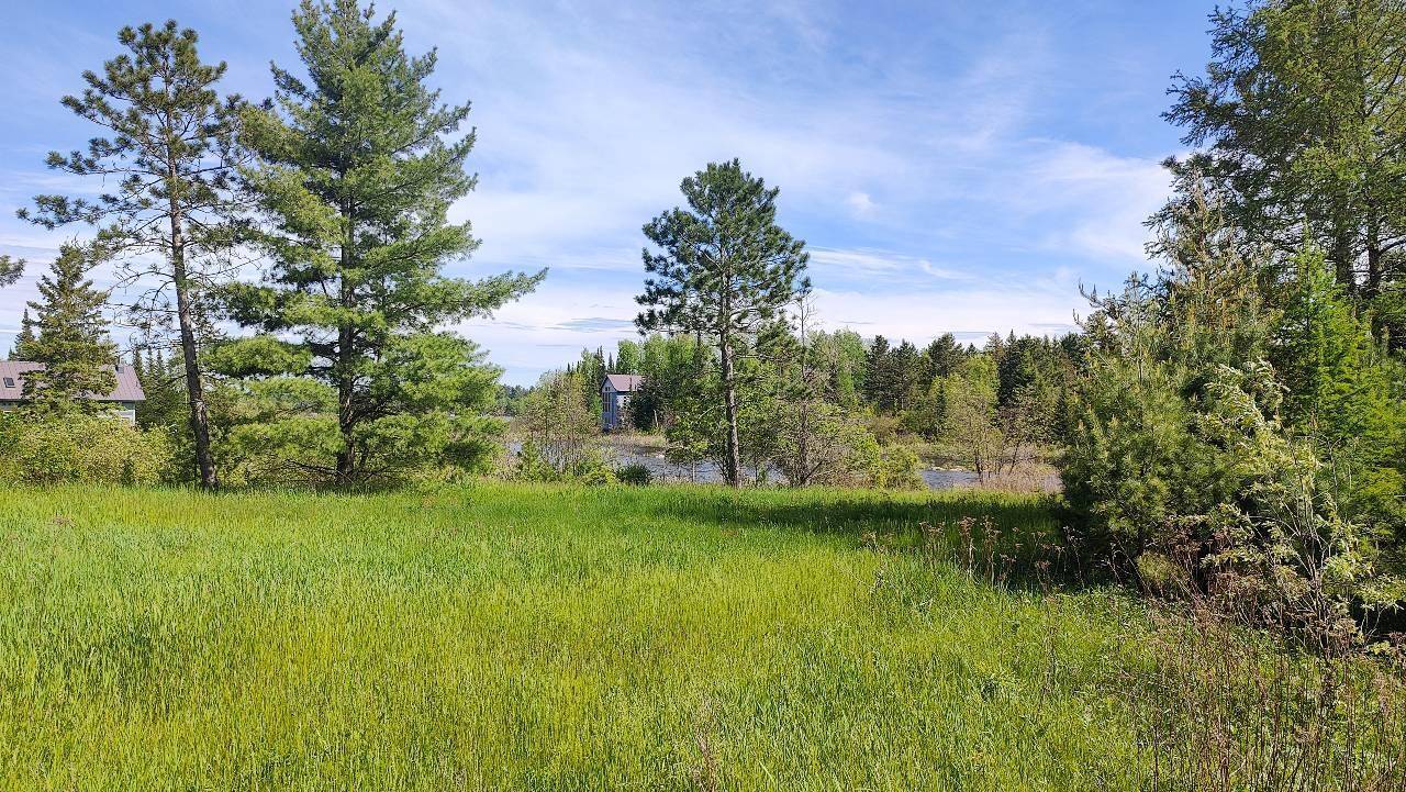 80048 Tamarack Trail, Tower, MN 55790