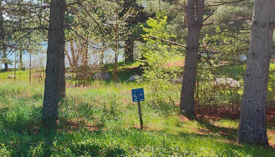 80075 Lake of Vermilion Road, Tower, MN 55790