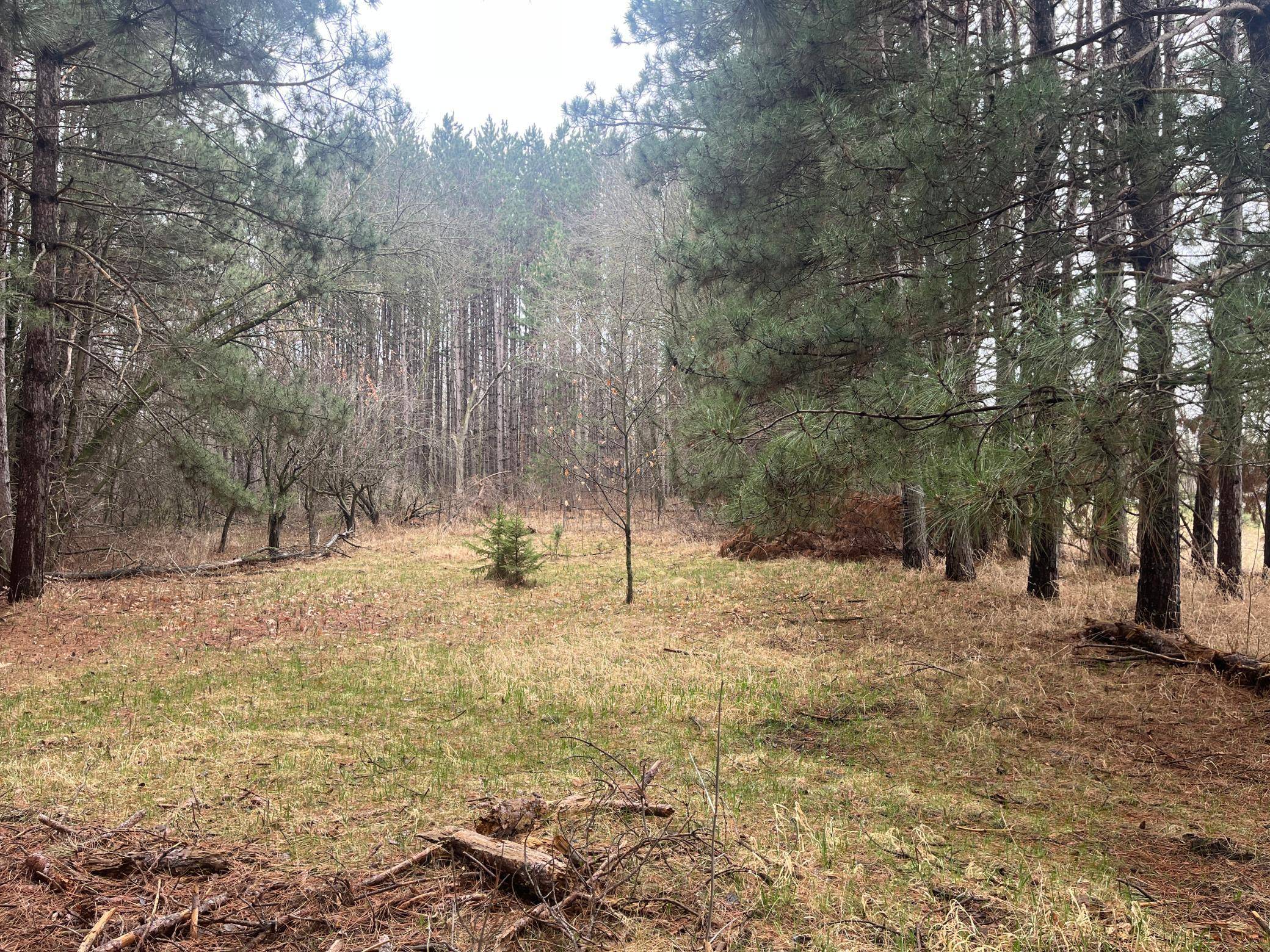Xxxxx Old 67 Road, Henning, MN 56551