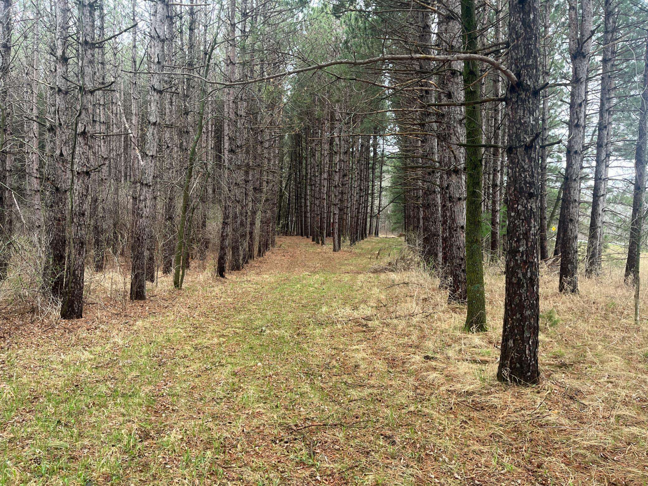 Xxxxx Old 67 Road, Henning, MN 56551