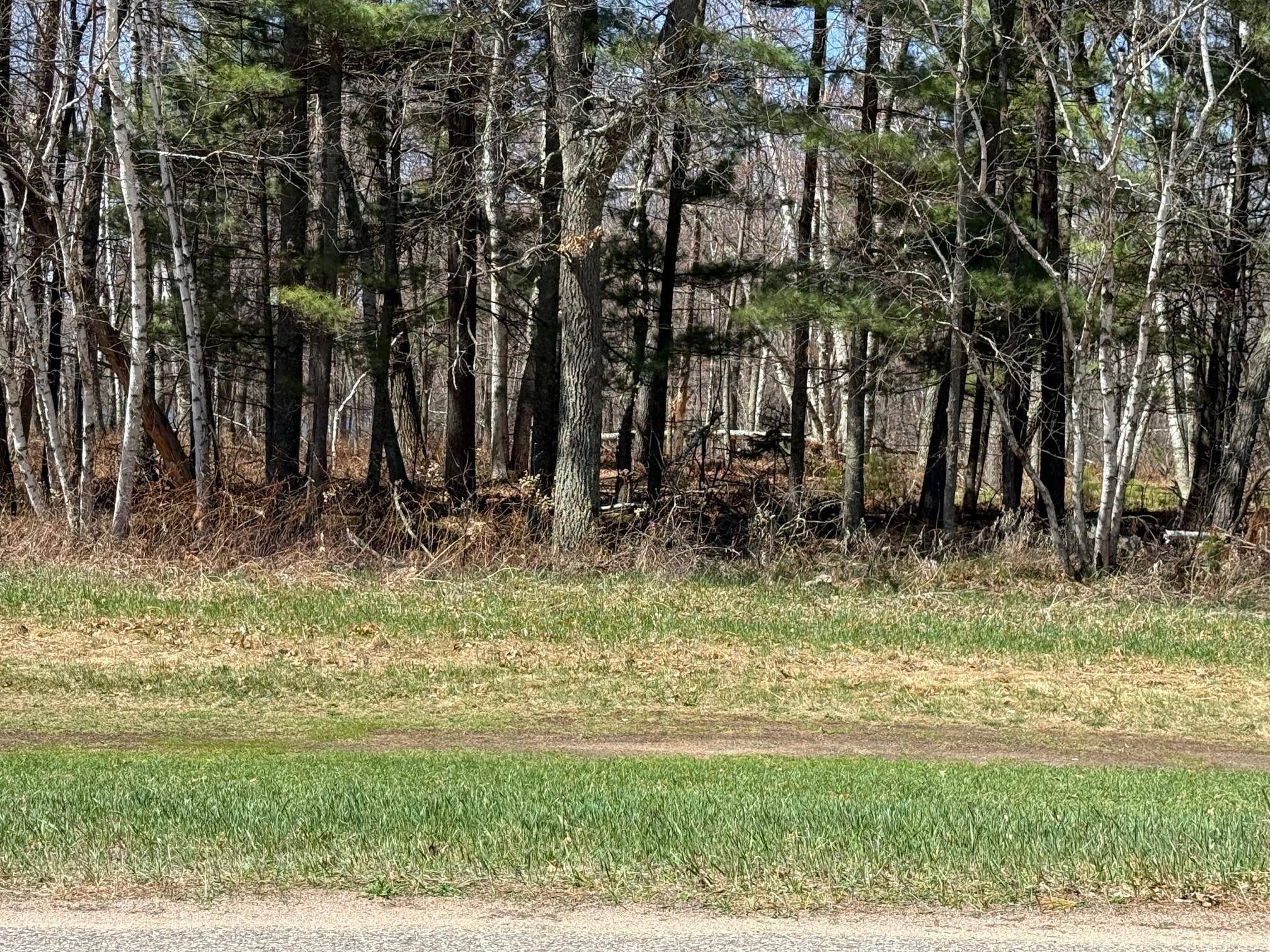 TBD County Road 4, Pequot Lakes, MN 56472