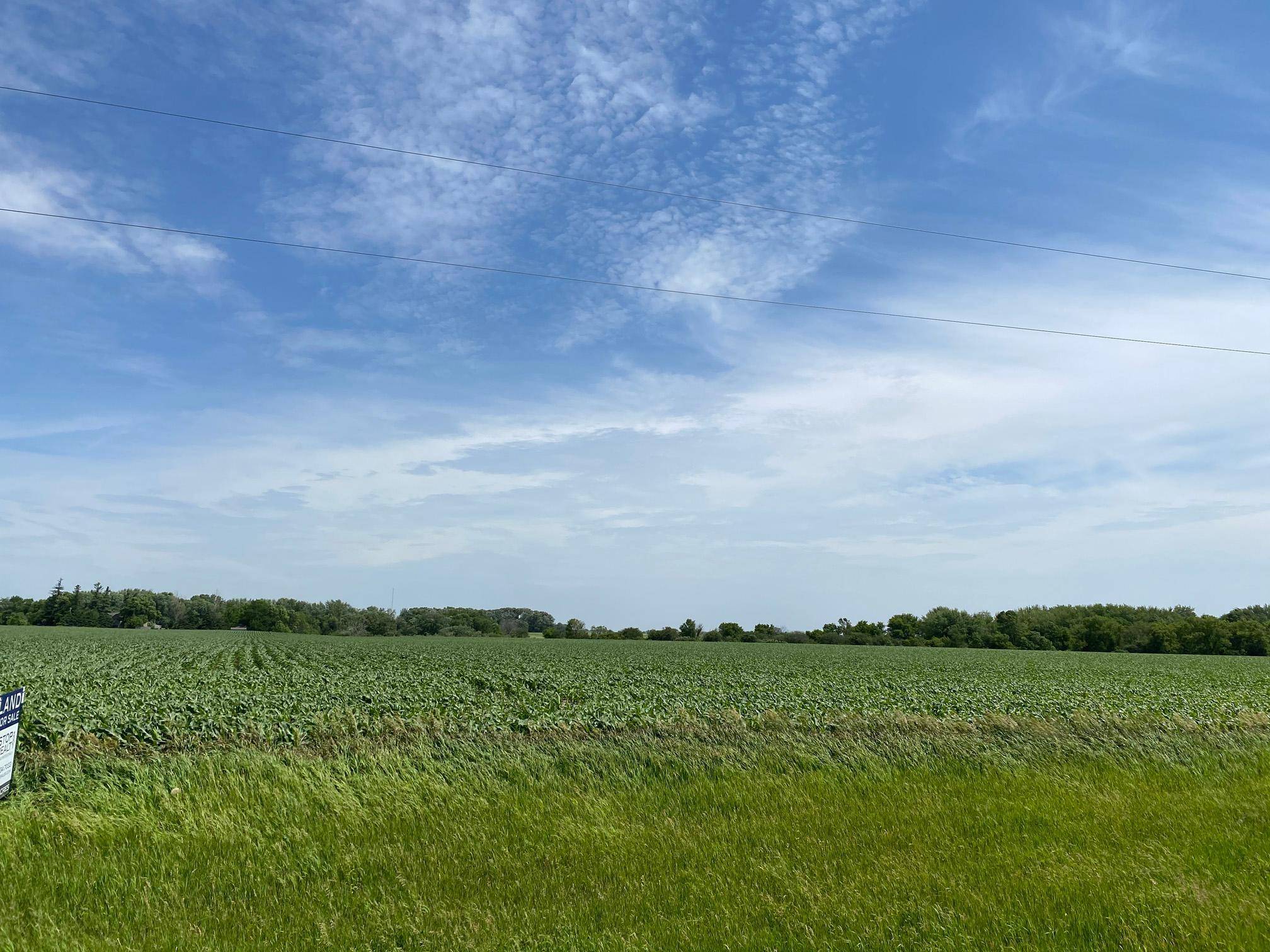 TBD MN Highway 30, Blooming Prairie, MN 55917